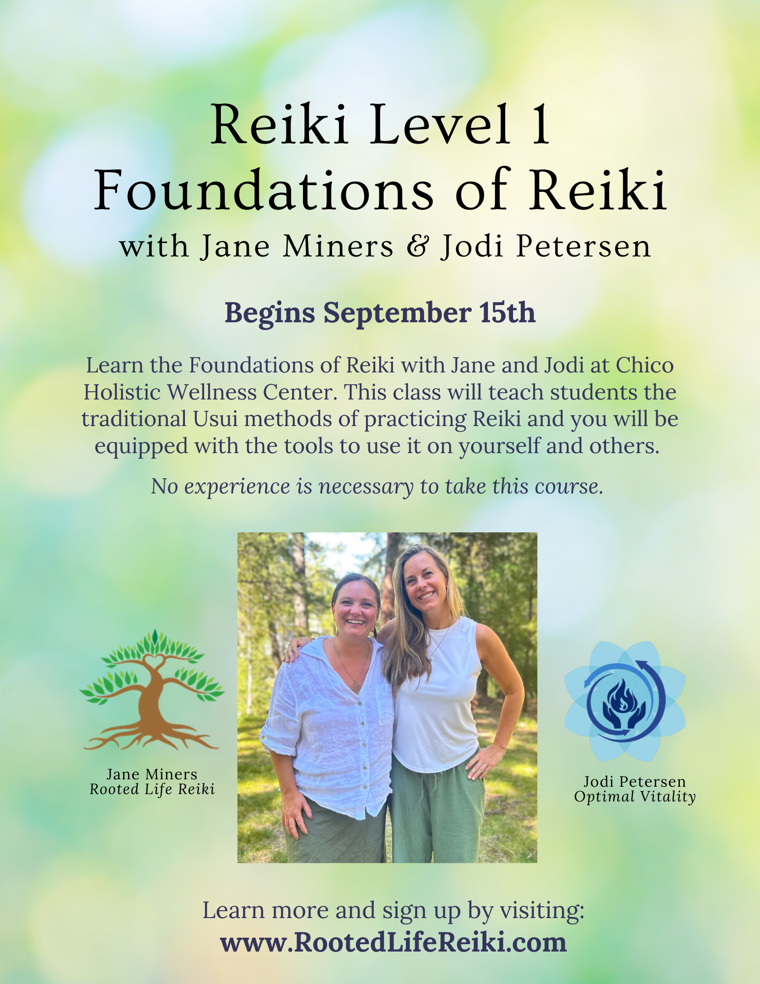 Reiki Level 1: Foundations of Reiki
