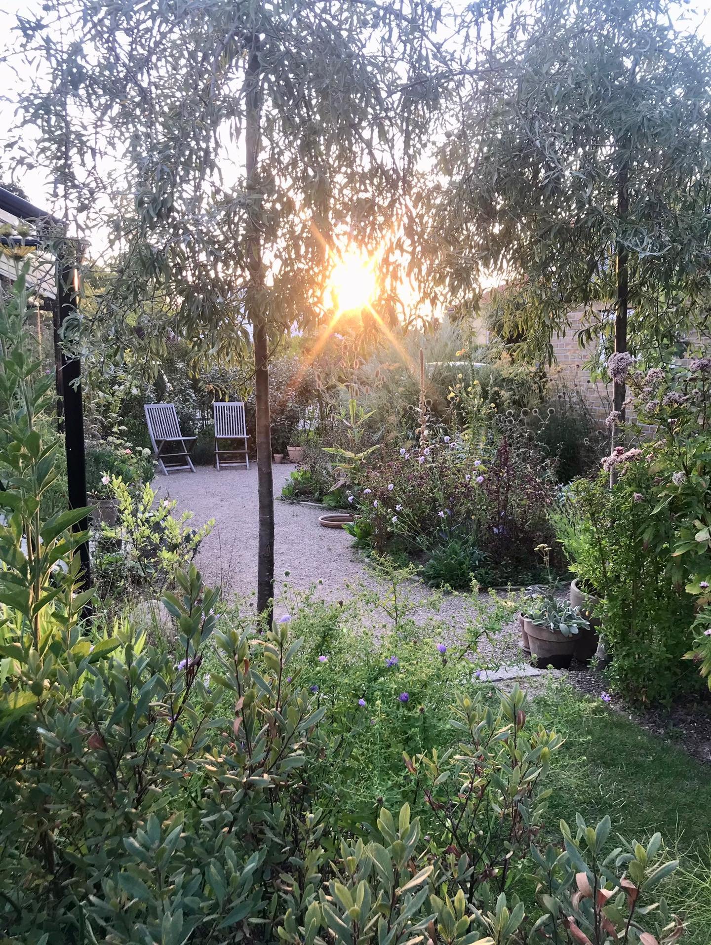 Snart vender lyset tilbage, og der er meget at se frem til. Et helt nyt have&aring;r, hvor jeg gl&aelig;der mig til at skabe flere haver og uderum med fokus p&aring; form, funktionalitet og frodighed. 

Haver, hvor &aelig;stetik g&aring;r h&aring;nd 