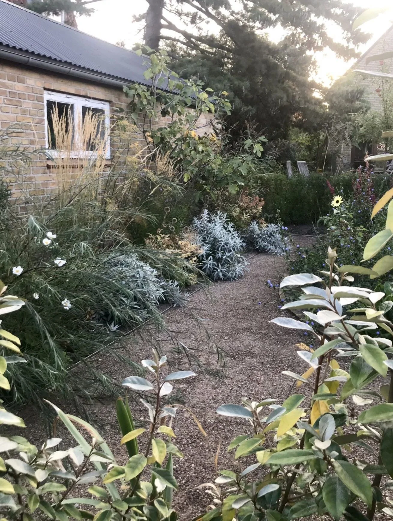 B&aelig;redygtigt blomsterbed 🌼🌿🌾

Mens alt liv i haven er i dvale, er det forl&oslash;sende at t&aelig;nke p&aring; den grokraft, duft og farverigdom, der venter os i en ny haves&aelig;son. Billeder af blomster kan endda forbedre vores hum&oslash