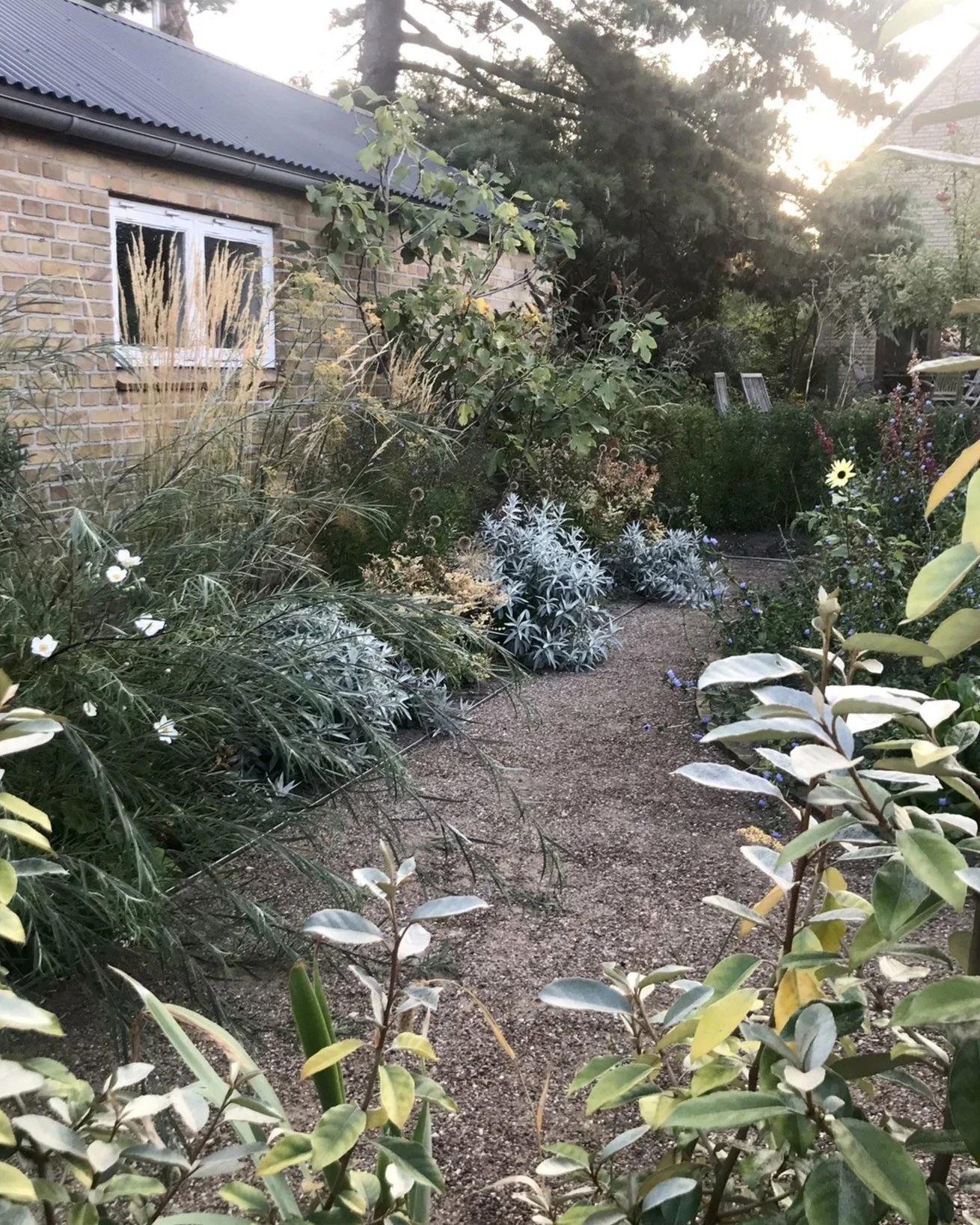 Haven v&aring;gner lige s&aring; stille, og jeg gl&aelig;der mig til den grokraft, duft og farverigdom, der venter os i en ny haves&aelig;son &ndash; som p&aring; billederne her. 

Bedet er sammensat med plantearter fra den danske natur og kultivered