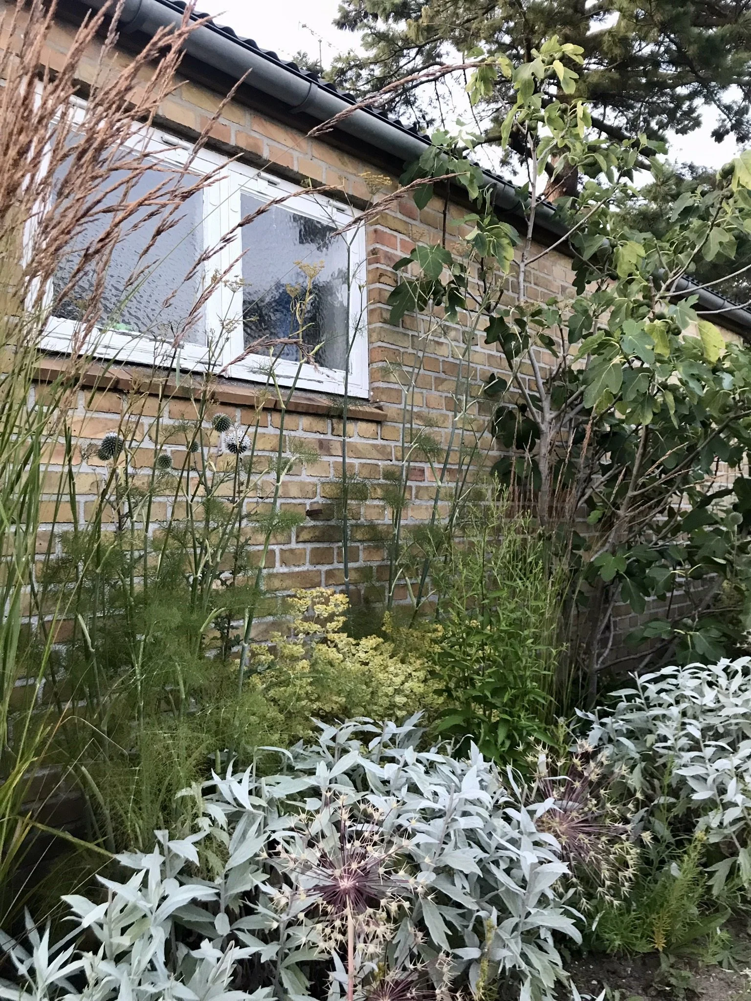 12_Vue bed juli.JPEG