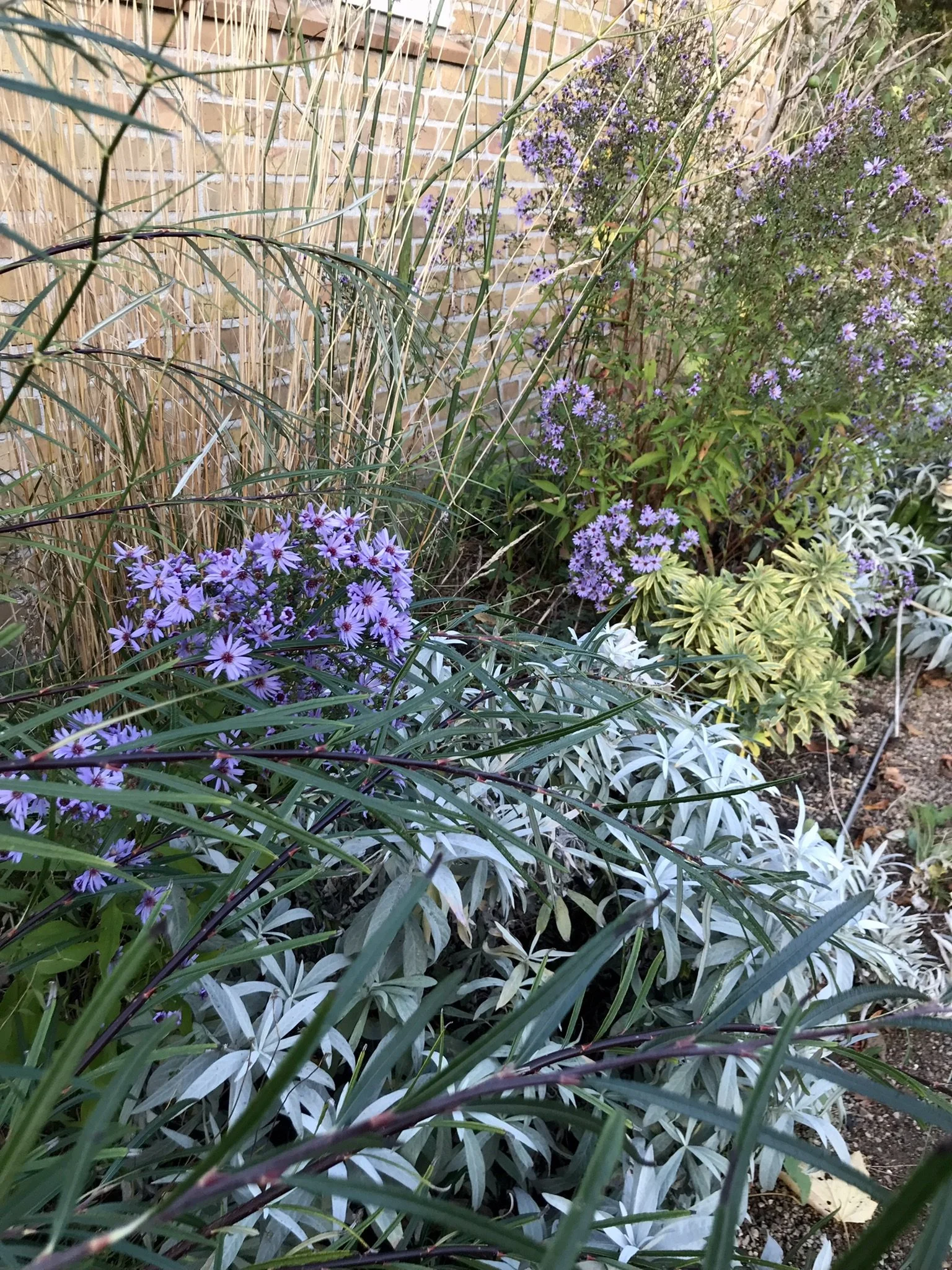 16_Bed oktober 2025.JPEG