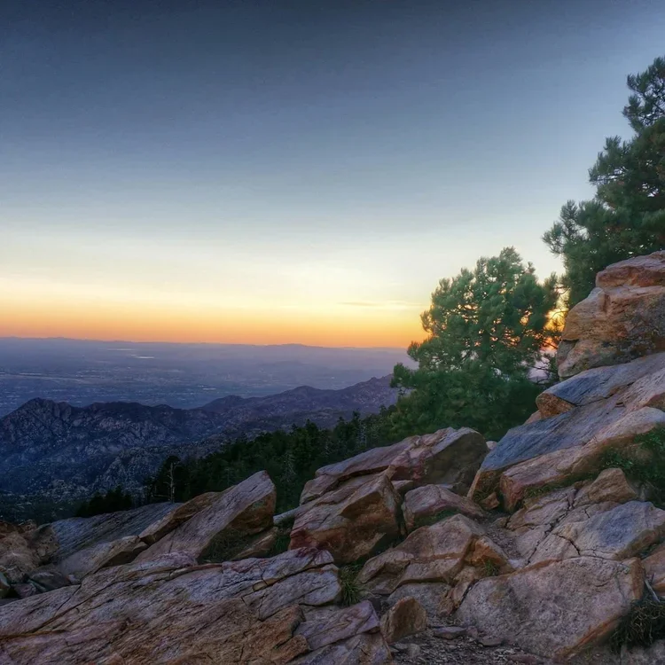 Cranio - Sacral Session