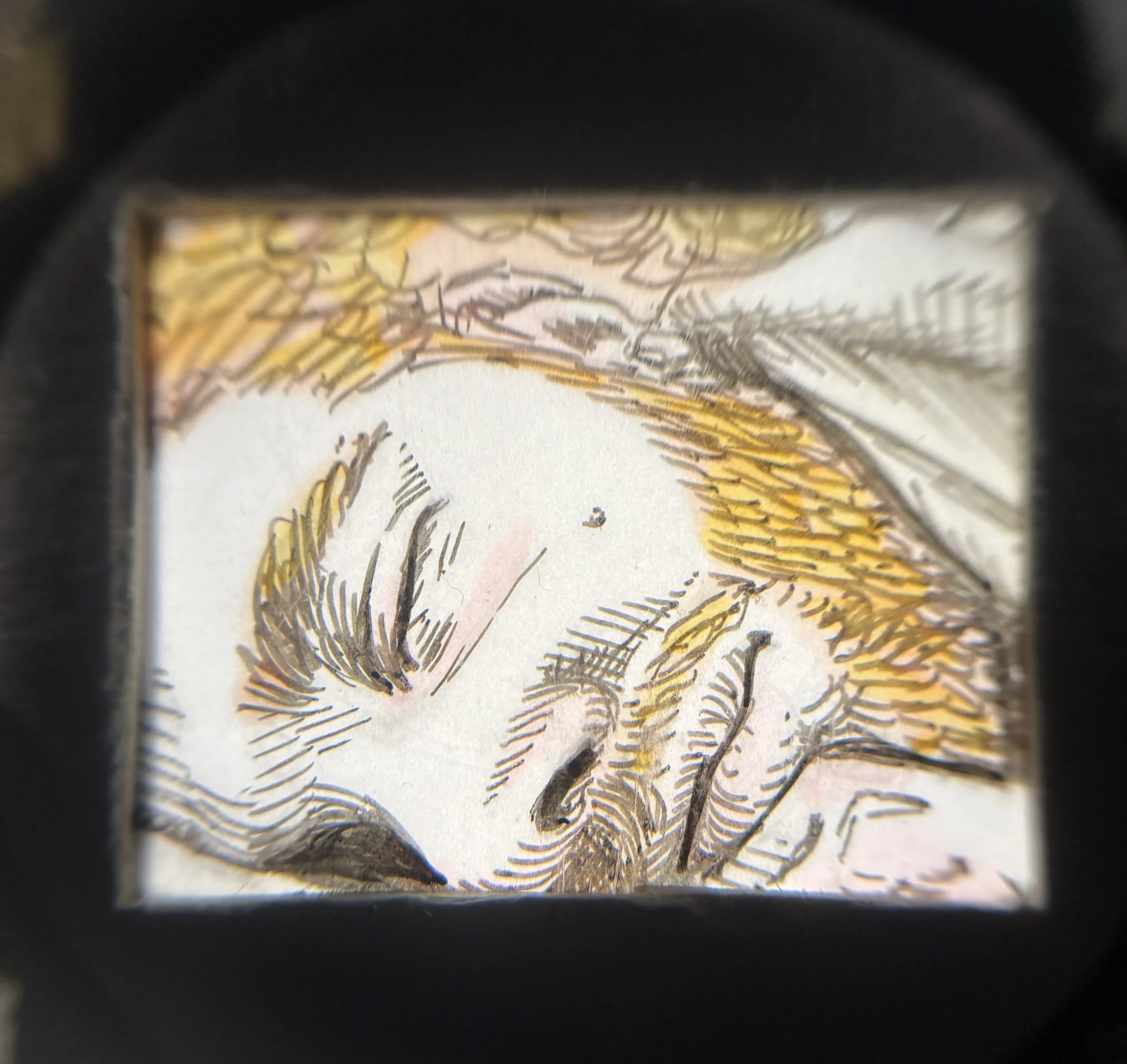 "Sleeping Wolf", Alcohol Marker and Ink on Duralar viewed through a handheld slide viewer, 1.5"x2", 2024