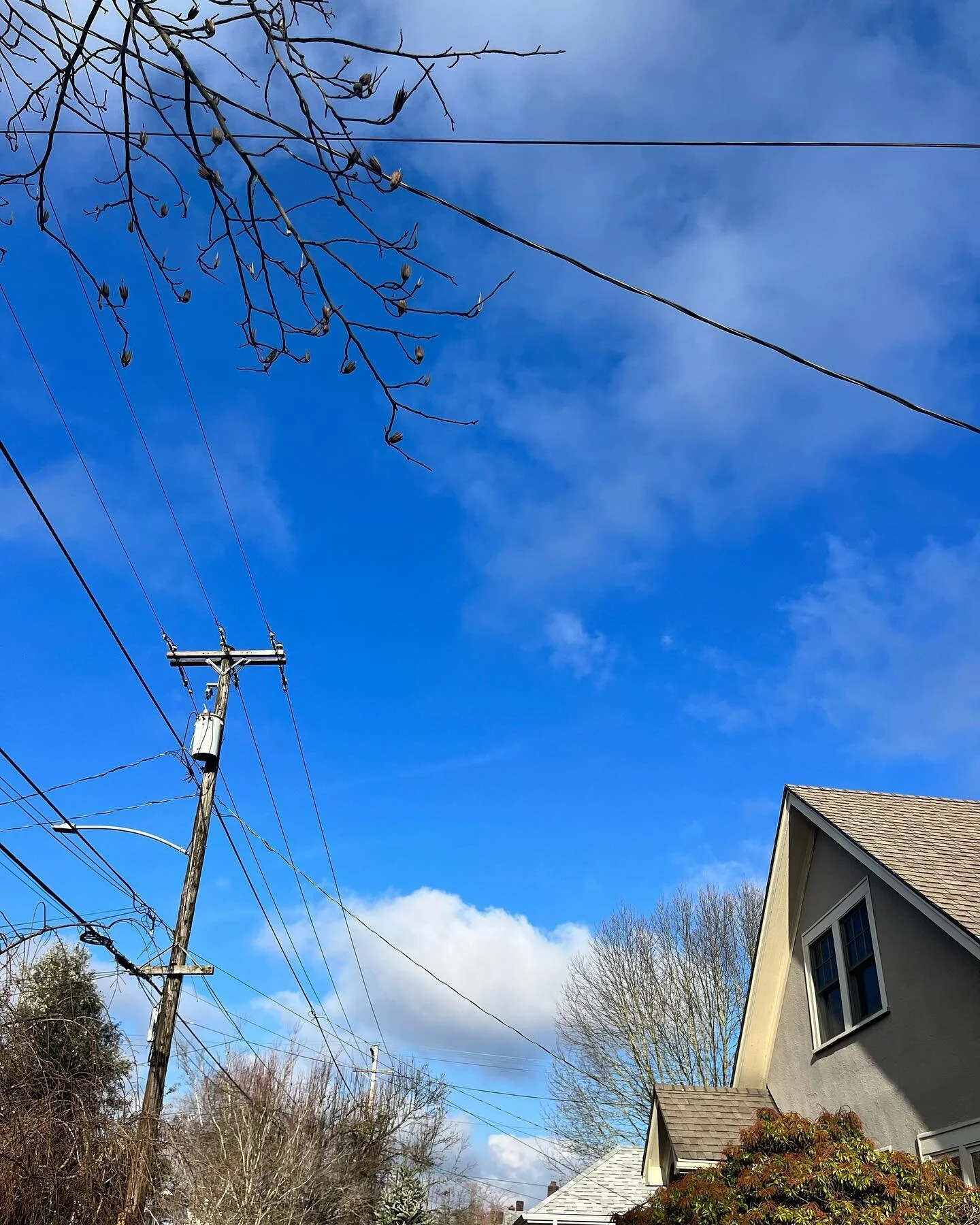 Holy moly it’s been a while. The lead up to the holidays was a long slog of boogery children, flu symptoms being lobbed around the house like grenades, and an irritated cat. But I’m back, and in the new year I’ll be posting more and