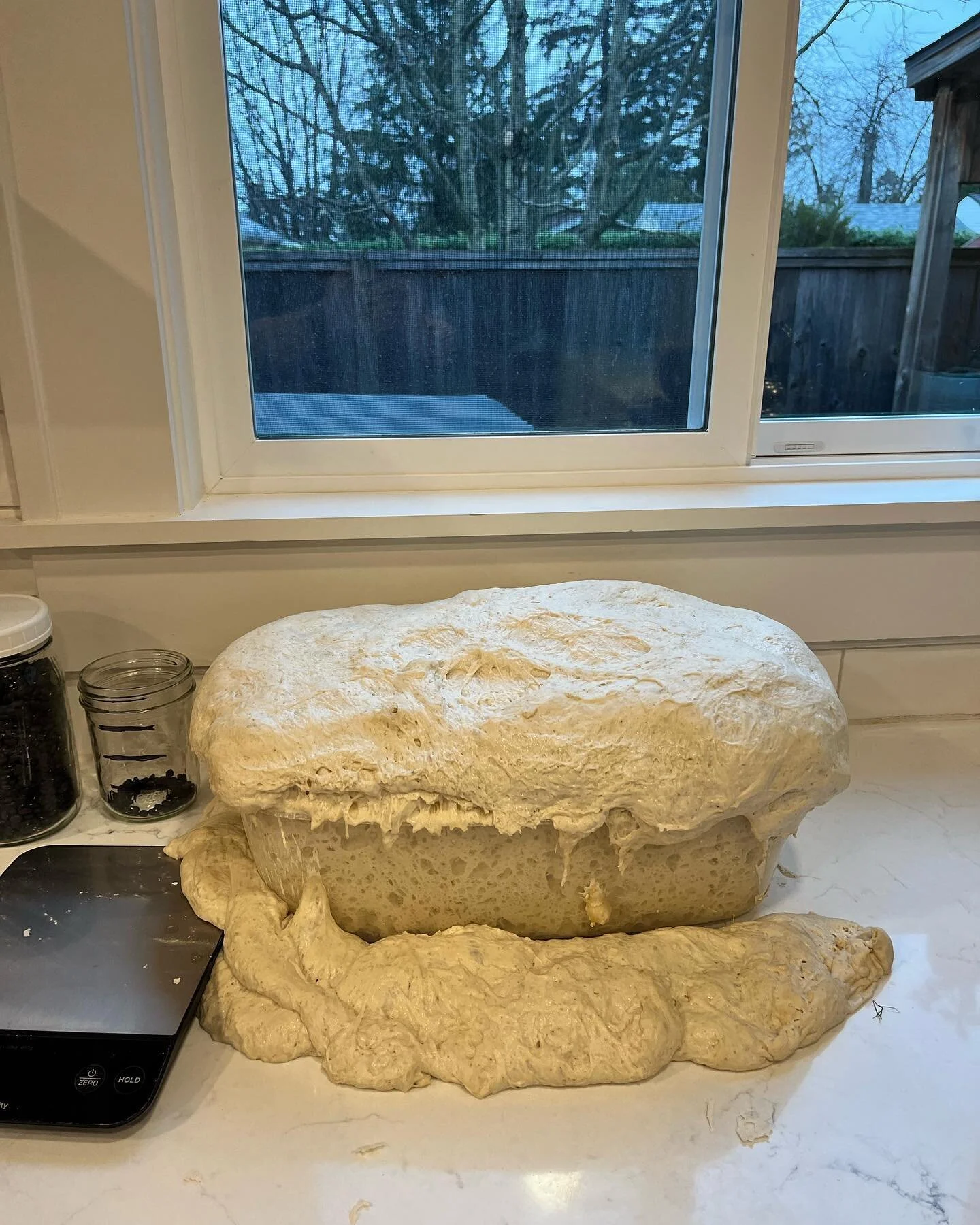 I may have miscalculated how much starter this container could hold.
.
Luckily, my family coaching and educational consultation skills are perfectly measured (see how smooth that segue was). Even if you’re not sure about reaching out, if someth