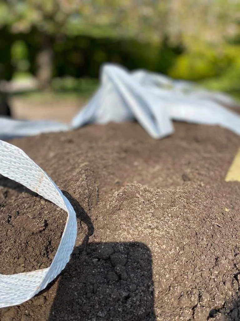 Top Soil close up.jpeg
