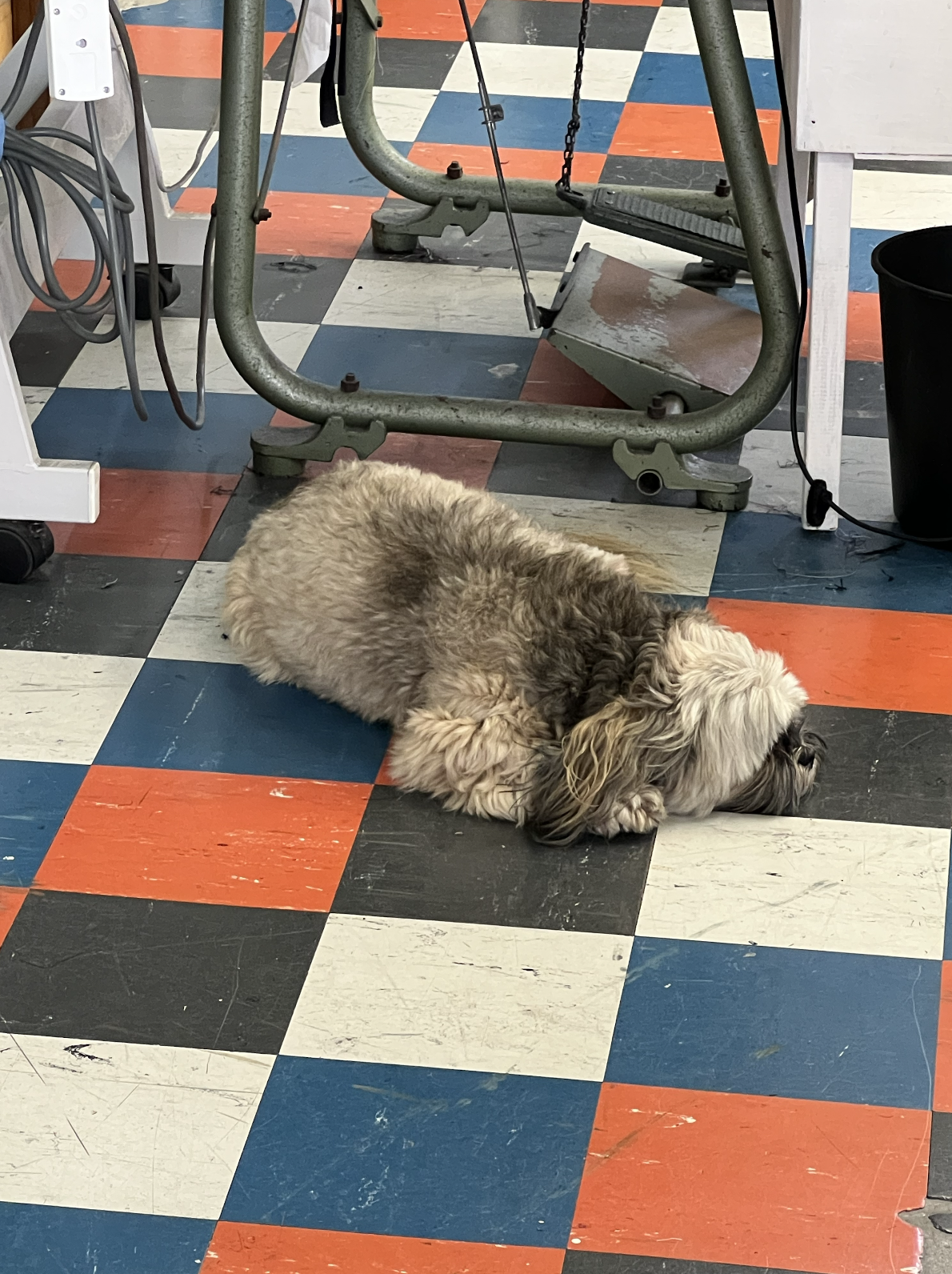 Screenshot 2026-03-04 at 3.51.25 PM.png