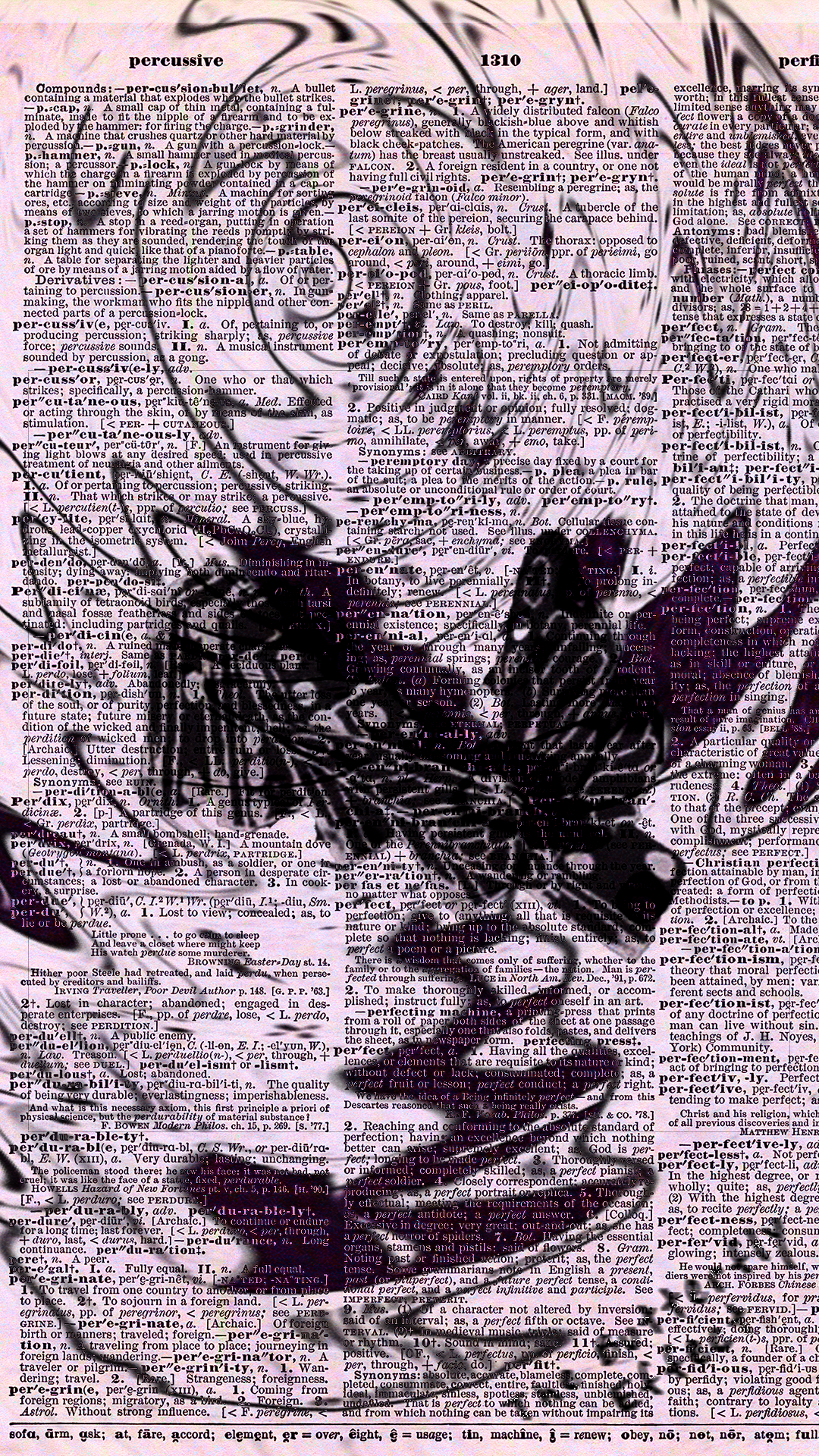 The Butterfly Effect.png