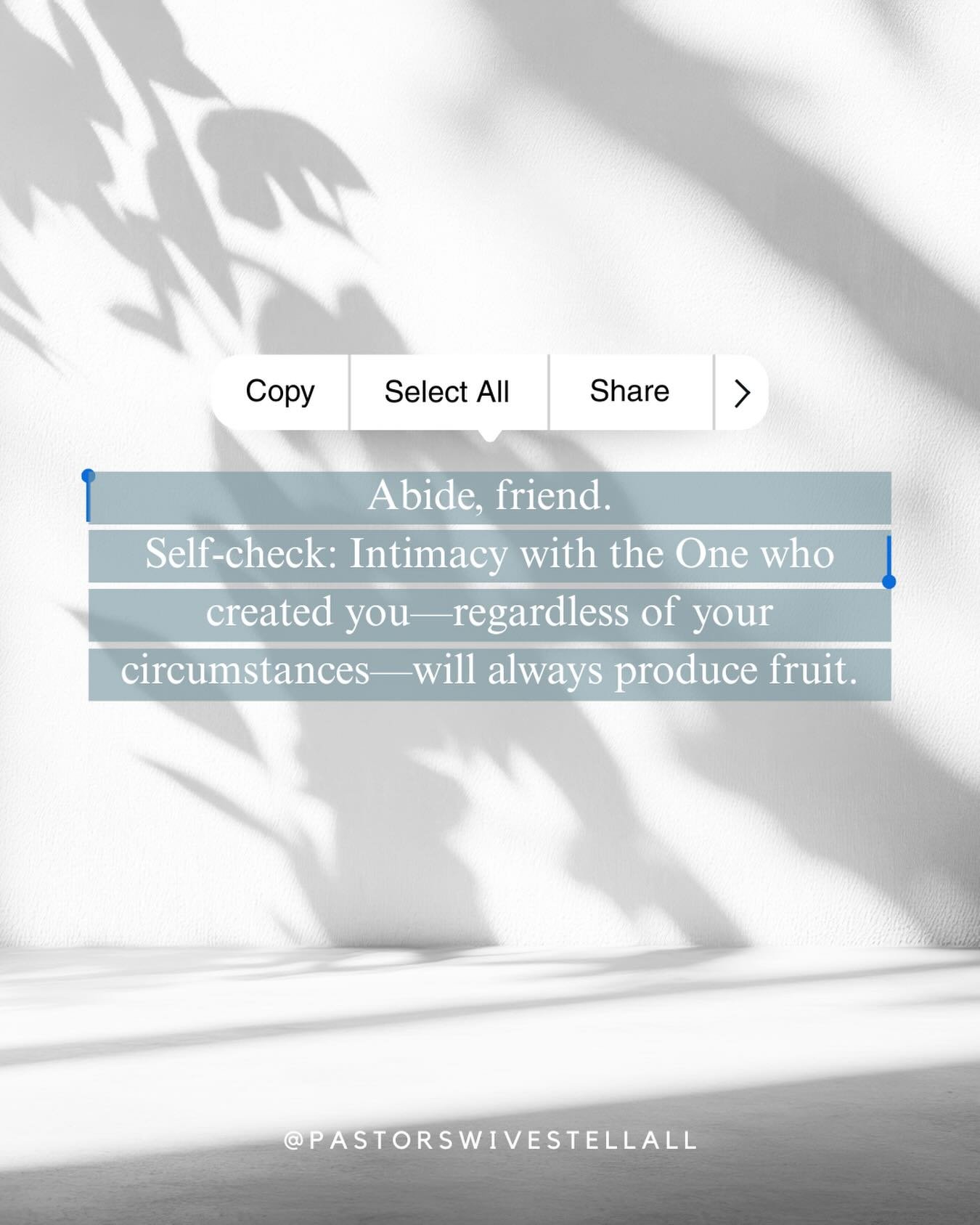 Abide.
Be still.
Linger in His presence.

Don&rsquo;t neglect sabbath. Live it.
Good fruit comes when we tarry with HIM.

#sabbathrest #bestill #restinjesus #christiancommunity #churchcommunity