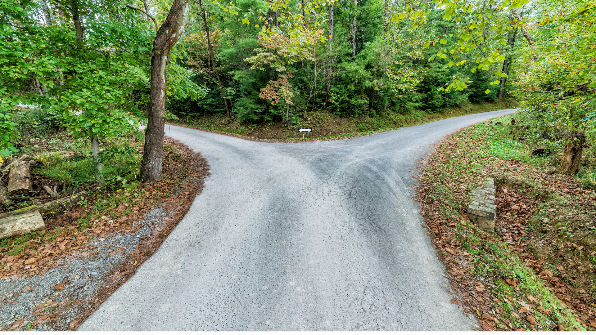 Fork In the Road