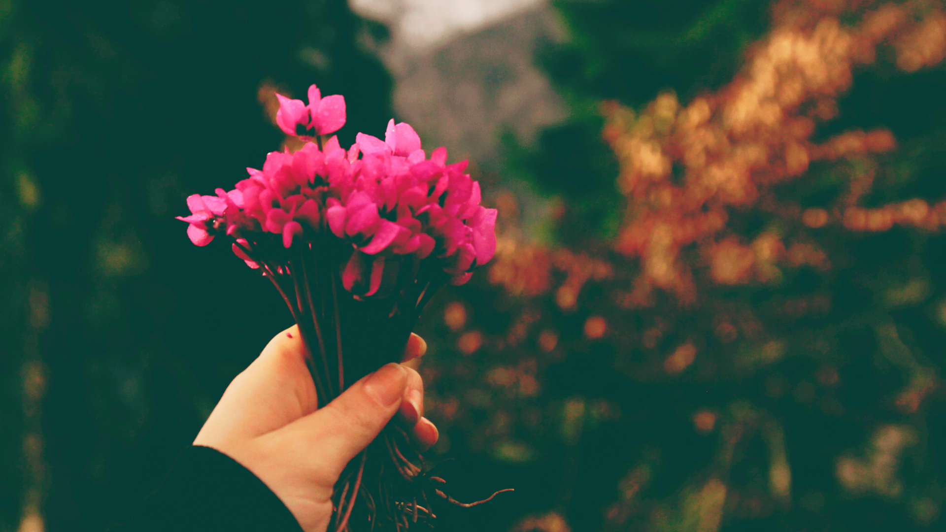 Ego Death or No Ego? Forgiving the False Identity