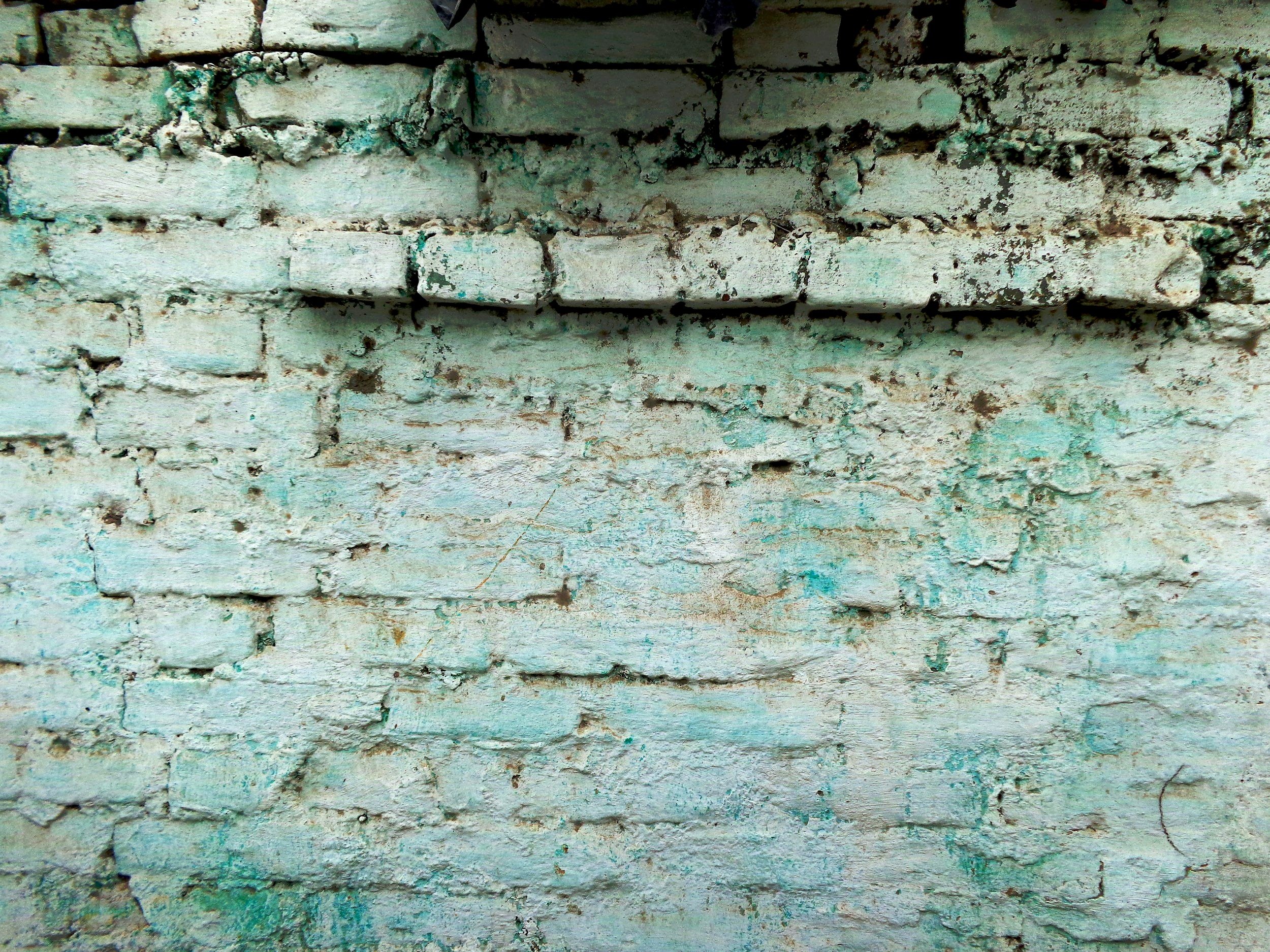 Words or Walls: Are You Blocking Real Bonds in Your Relationships?