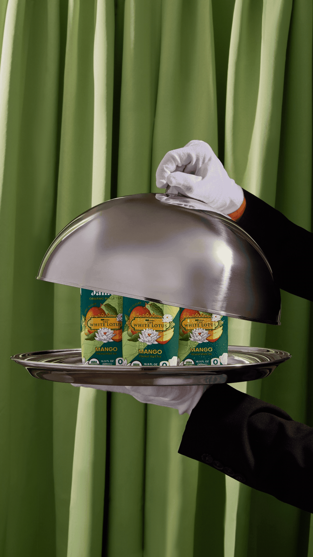 Adobe Express - Saint James_October 2024_Shot 10.gif