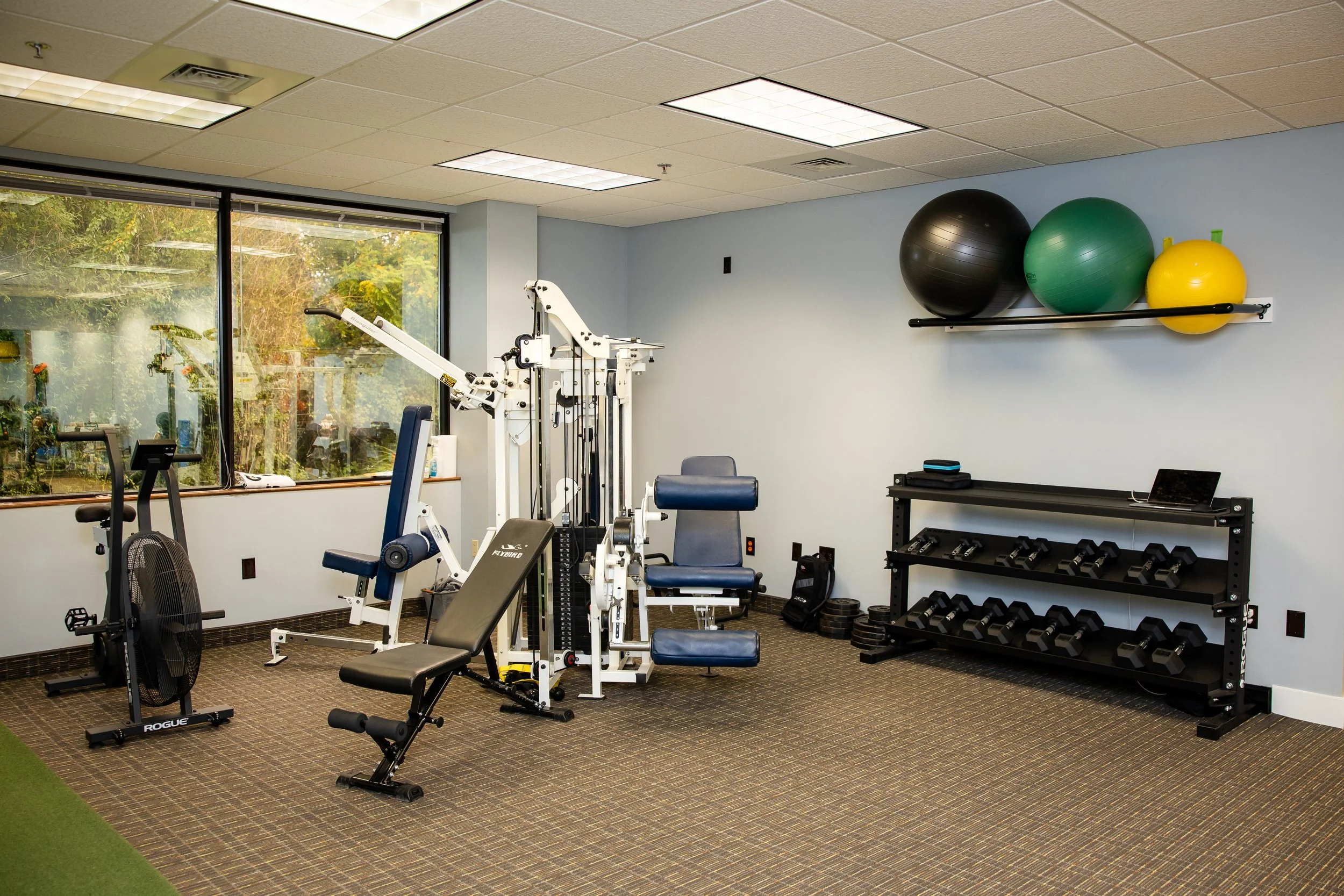 A gym room with workout equipment including a fan, weight bench, exercise machine, and a rack with dumbbells. There are exercise balls on a wall-mounted shelf and a window showing outdoor greenery.