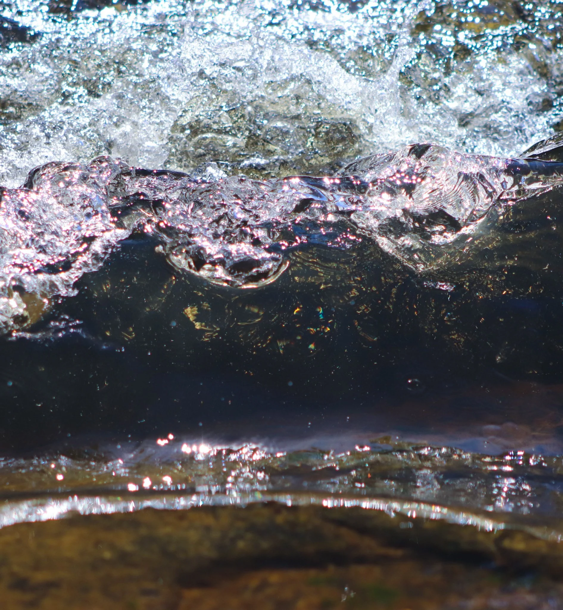 Reality...its a romance