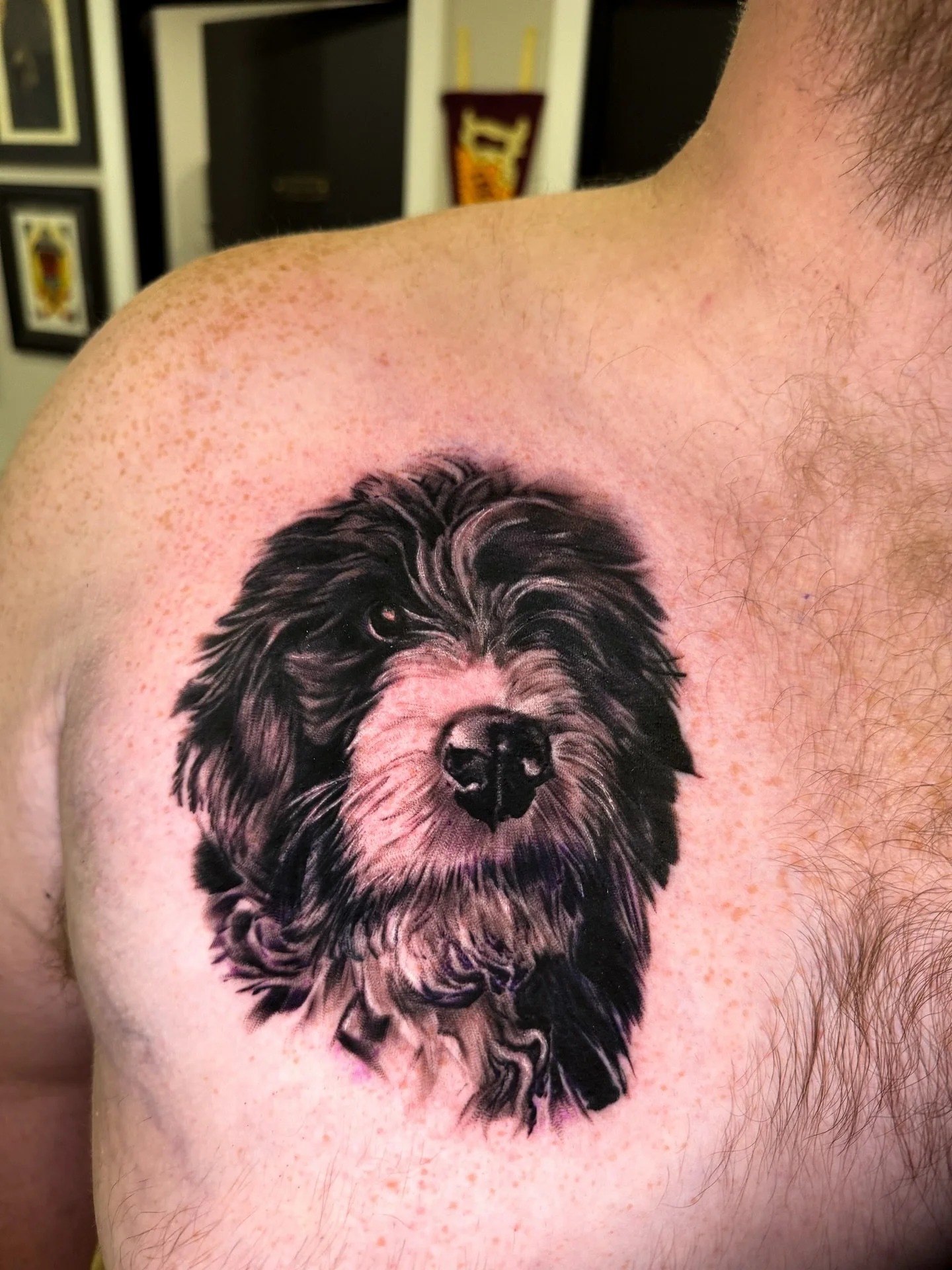 Some recent pieces from before my trip.