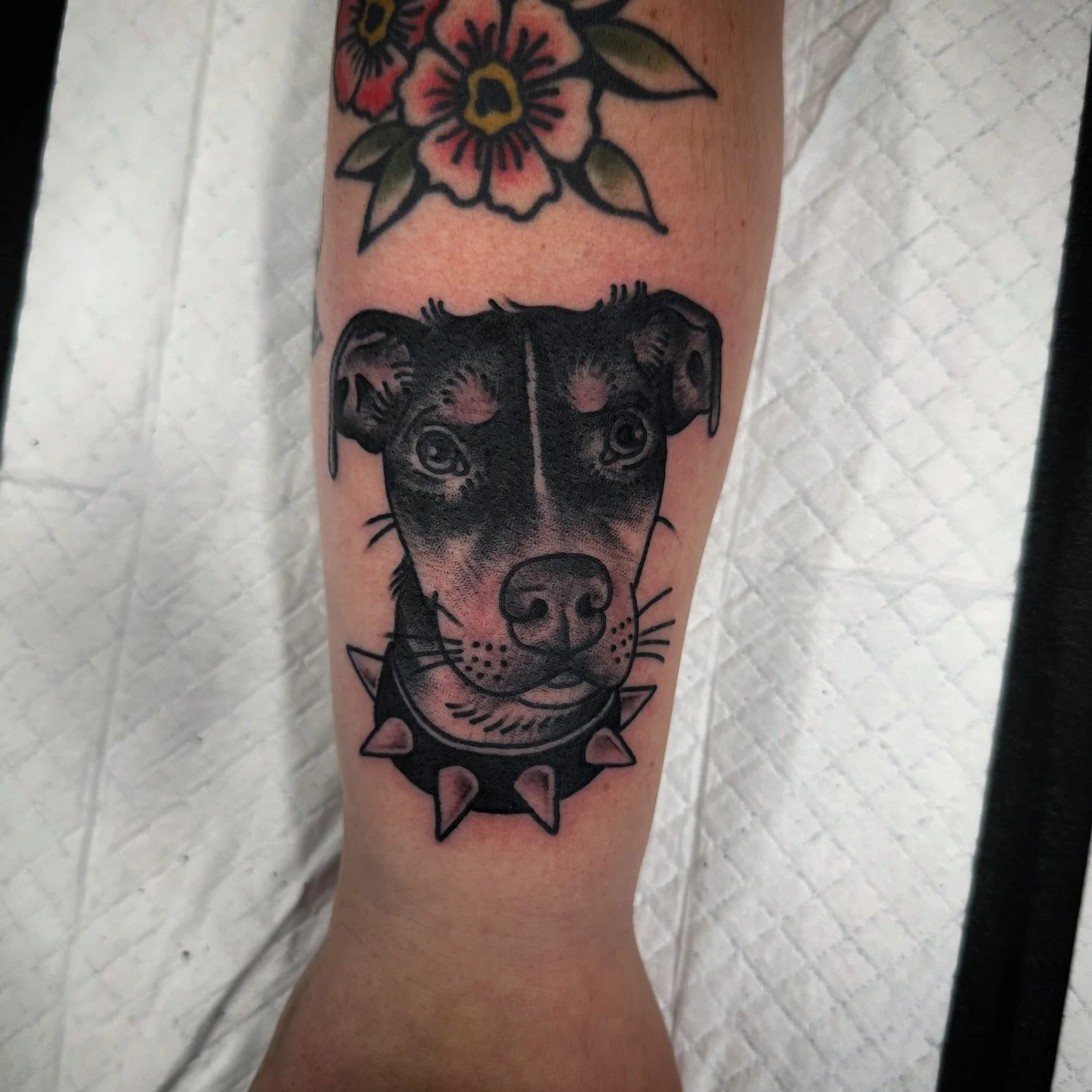 @gnarlyjenna wanted her pup and she got her pup forever and always.