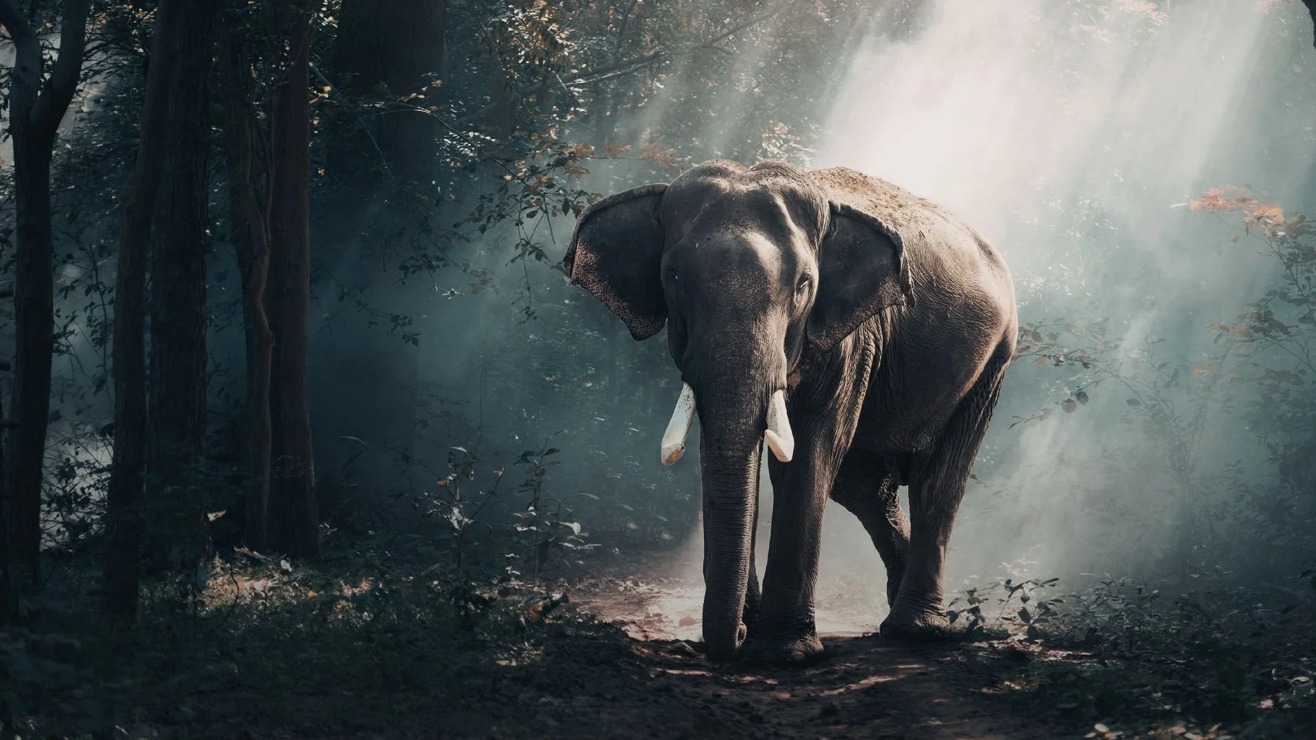 Starting Scripts To Have Courageous, and Crucial, Conversations