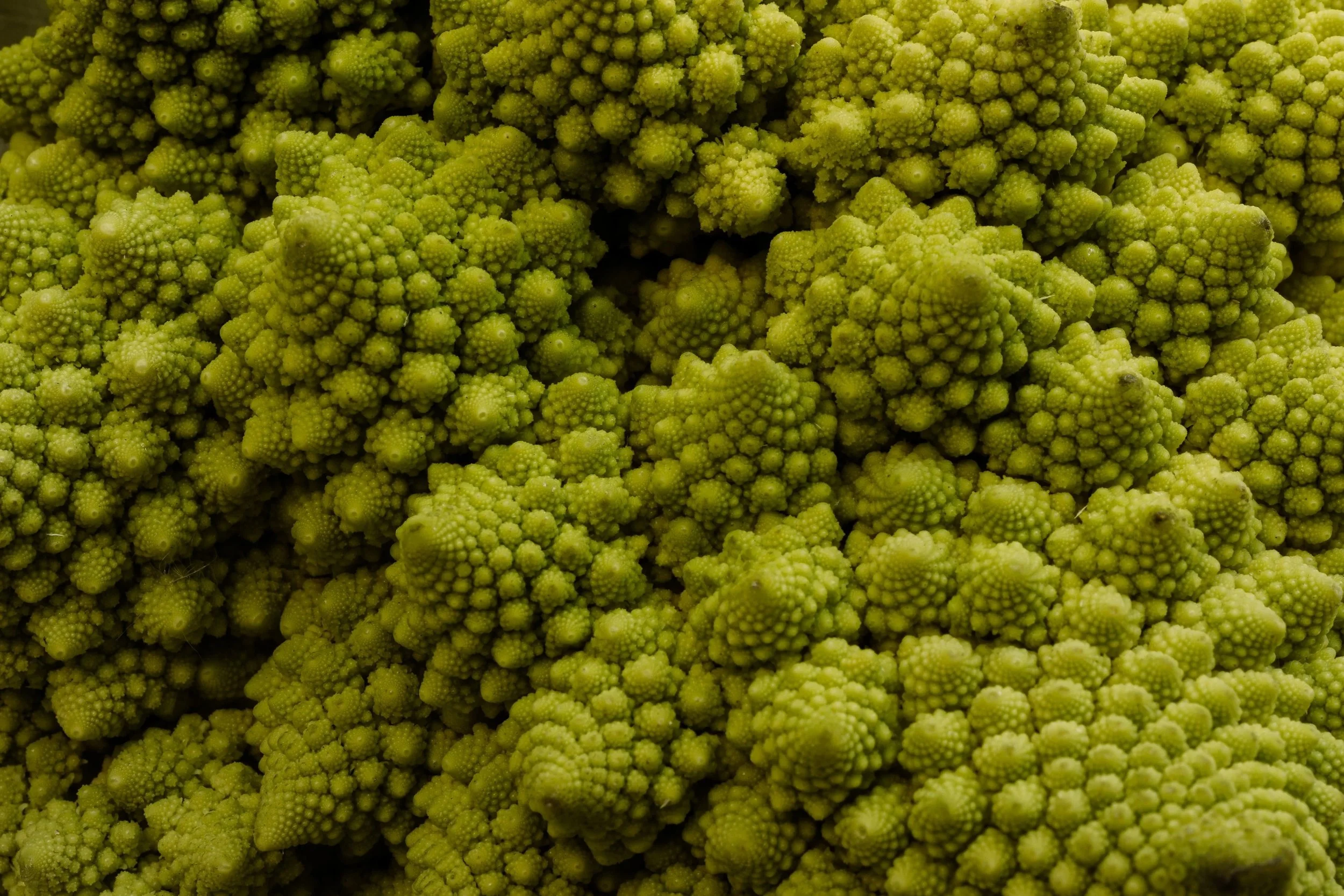 Inner Balance, Outer Radiance: The Gut-Skin Connection