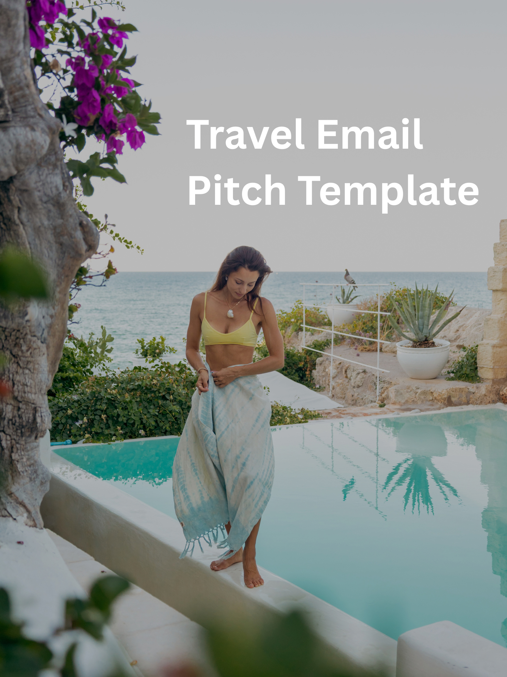 Travel Creator Pitch Template.png