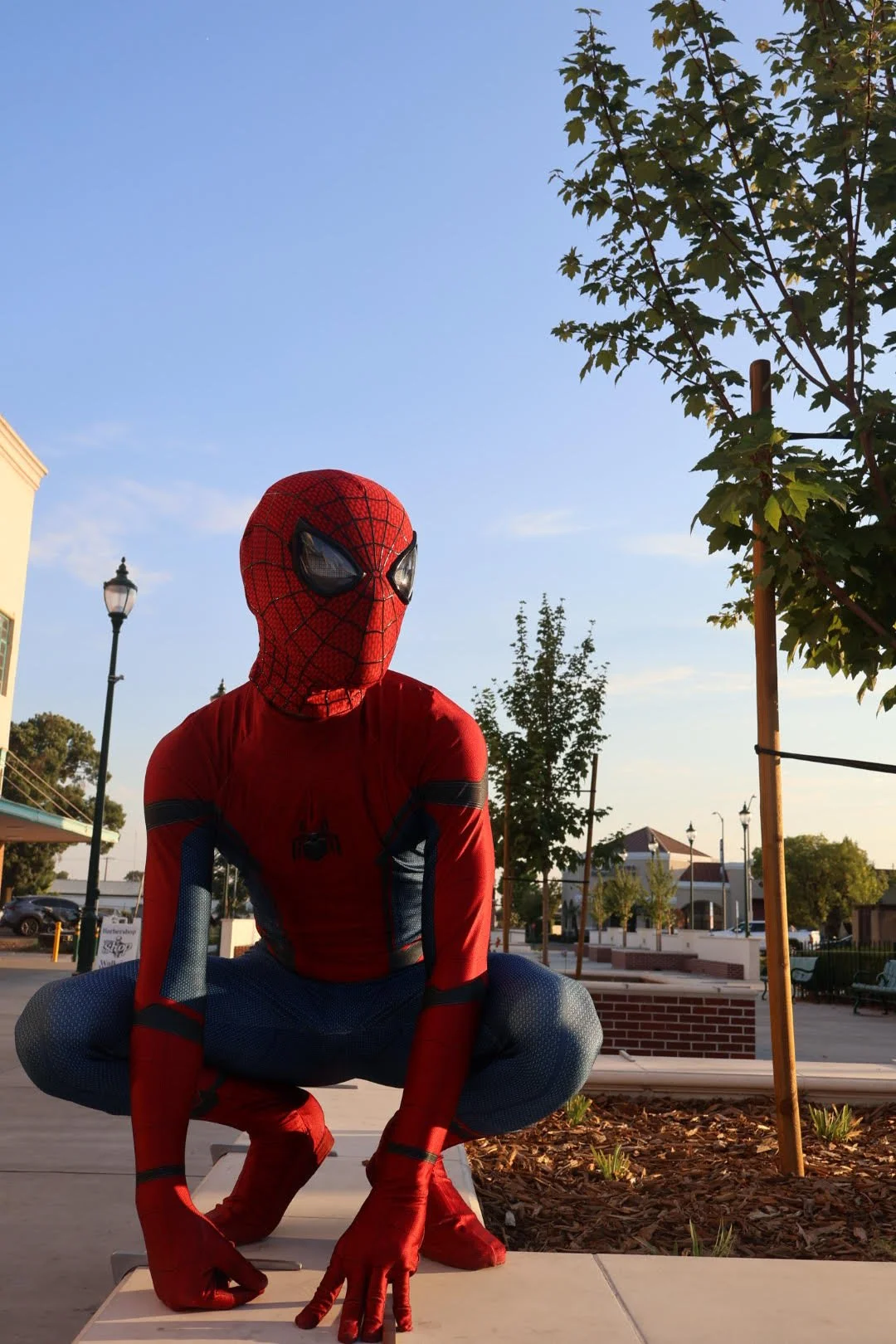 spiderman.jpg