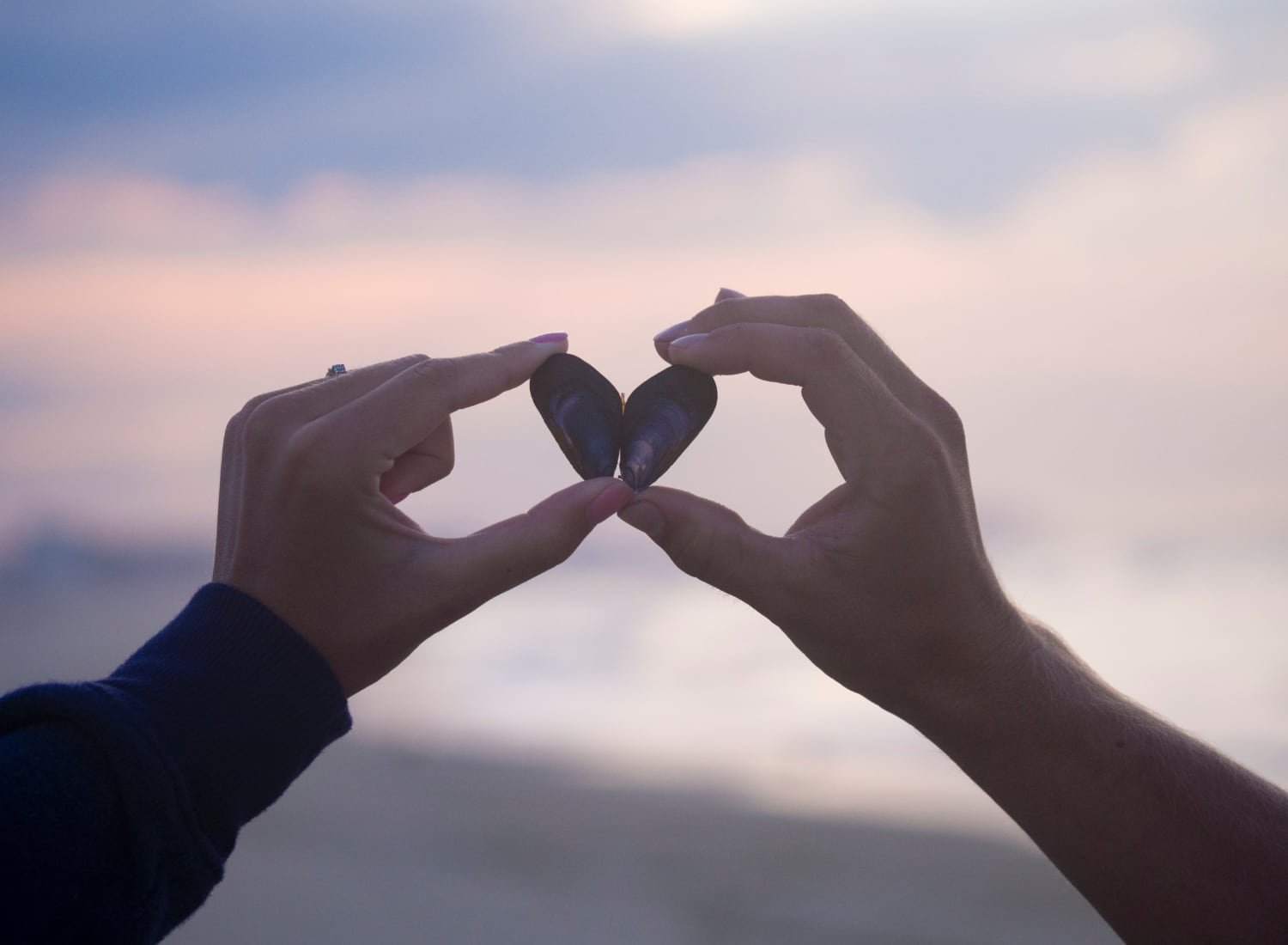 Hands forming a heart shape around seashells with a sky in the background.