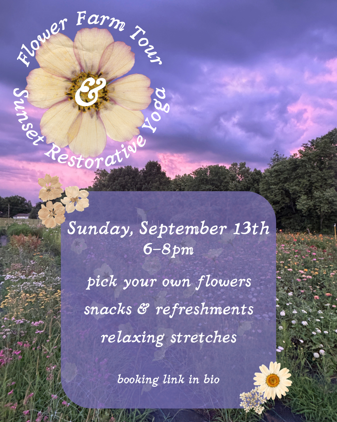 An Evening in Bloom: Farm Tour and Workshop + Yoga in the Flowers