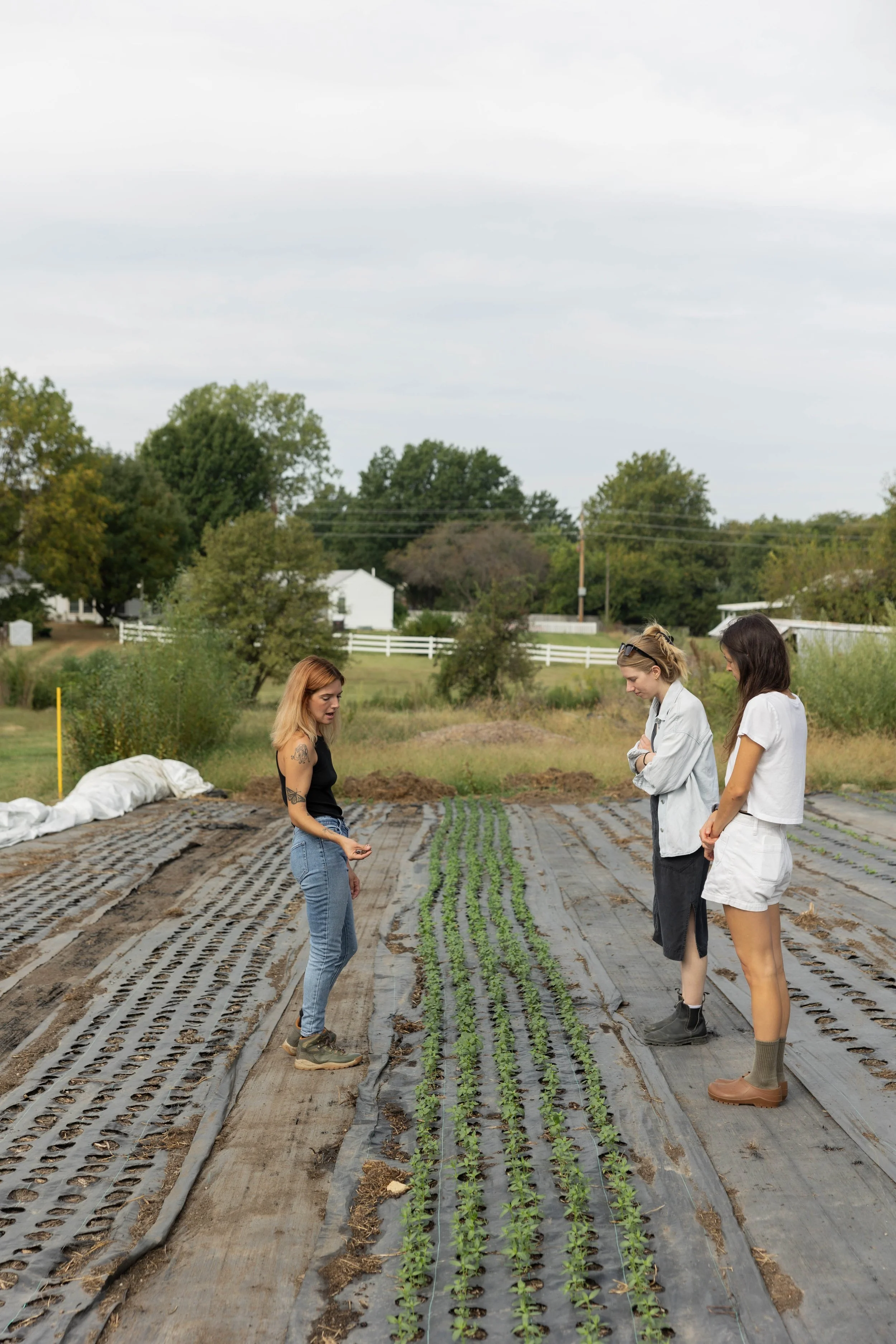 Mother's Day Flower Farm Tour