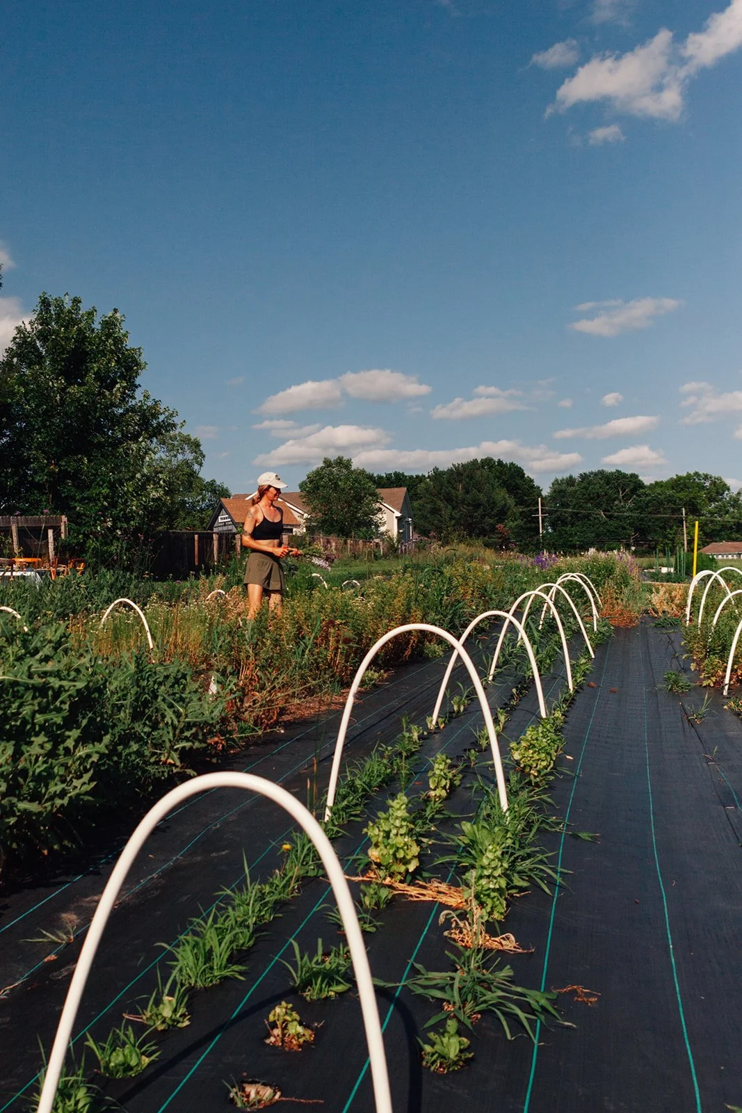 September in Bloom: A Flower Farm + Floral Workshop