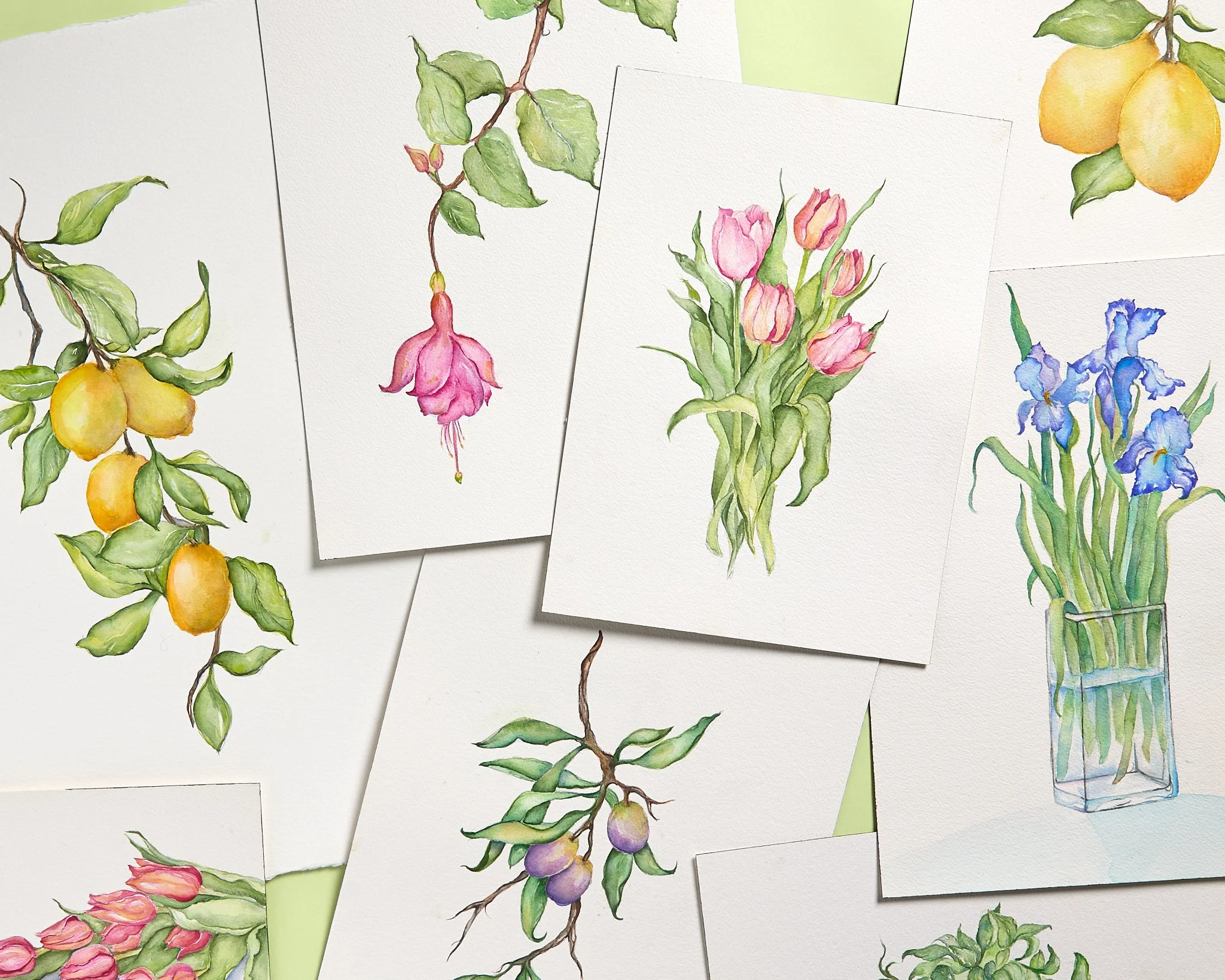 Variety pack of Flowers.jpg
