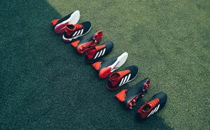 image-asset (4).jpeg