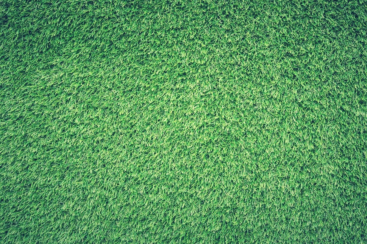 field-grass-green-139315.jpg