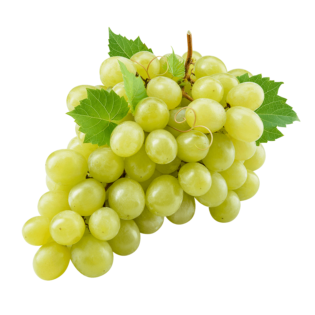 Fruits RAW In BULK