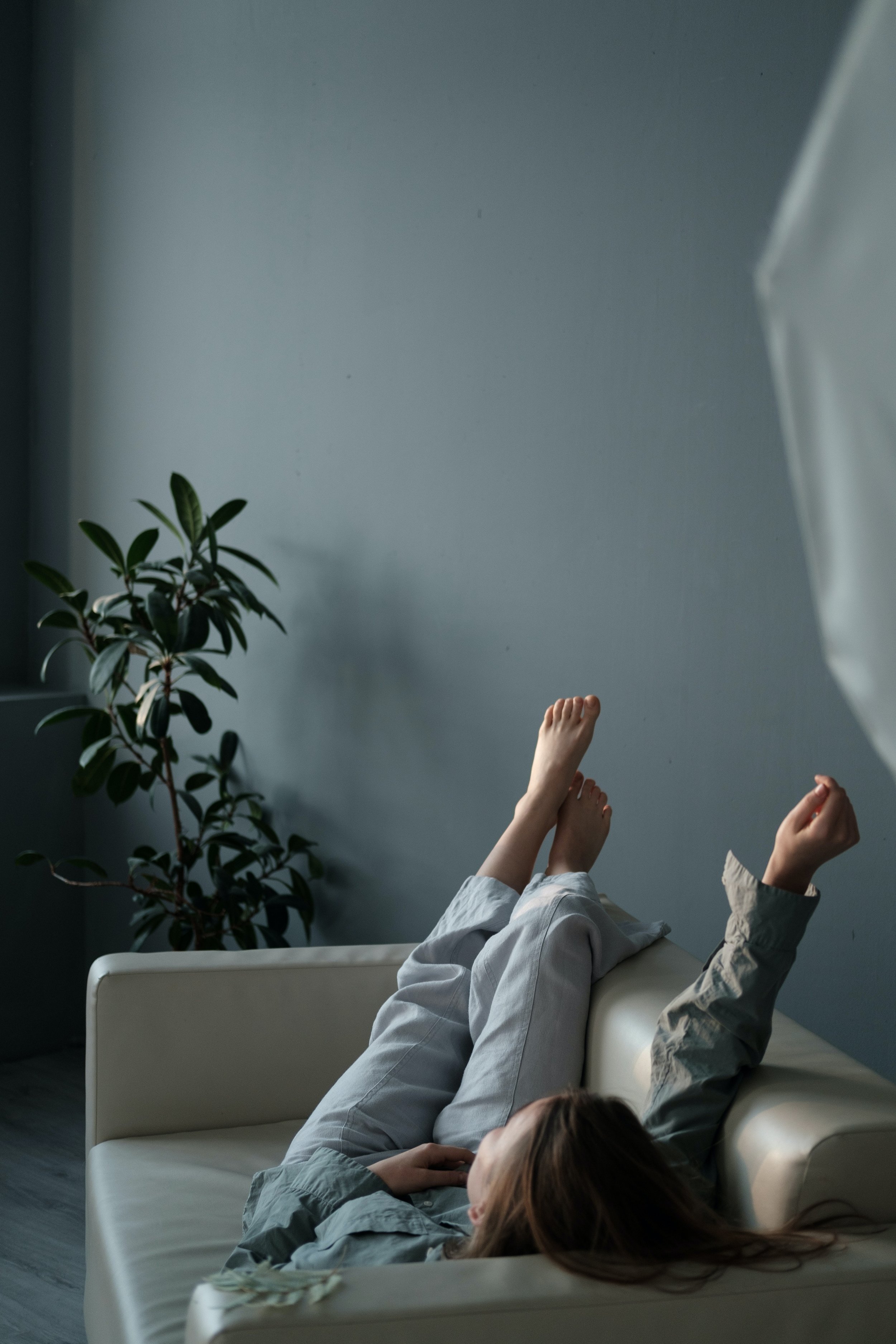 Houseplants and Mood