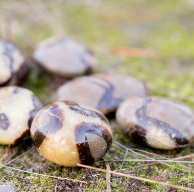 Septarian (Dragon Stone)