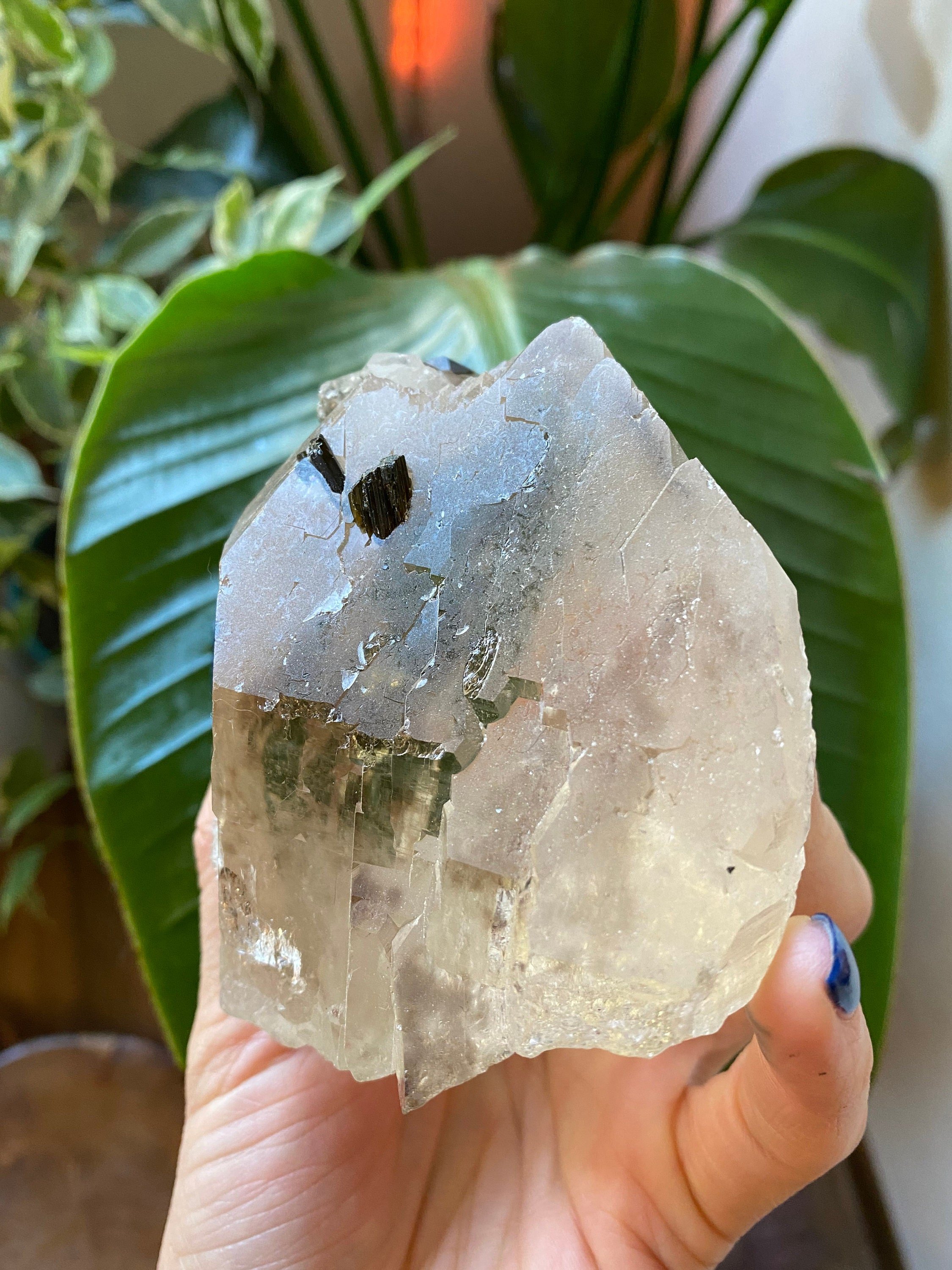 https://i.etsystatic.com/22529726/r/il/5e071b/2995637774/il_fullxfull.2995637774_1dan.jpg