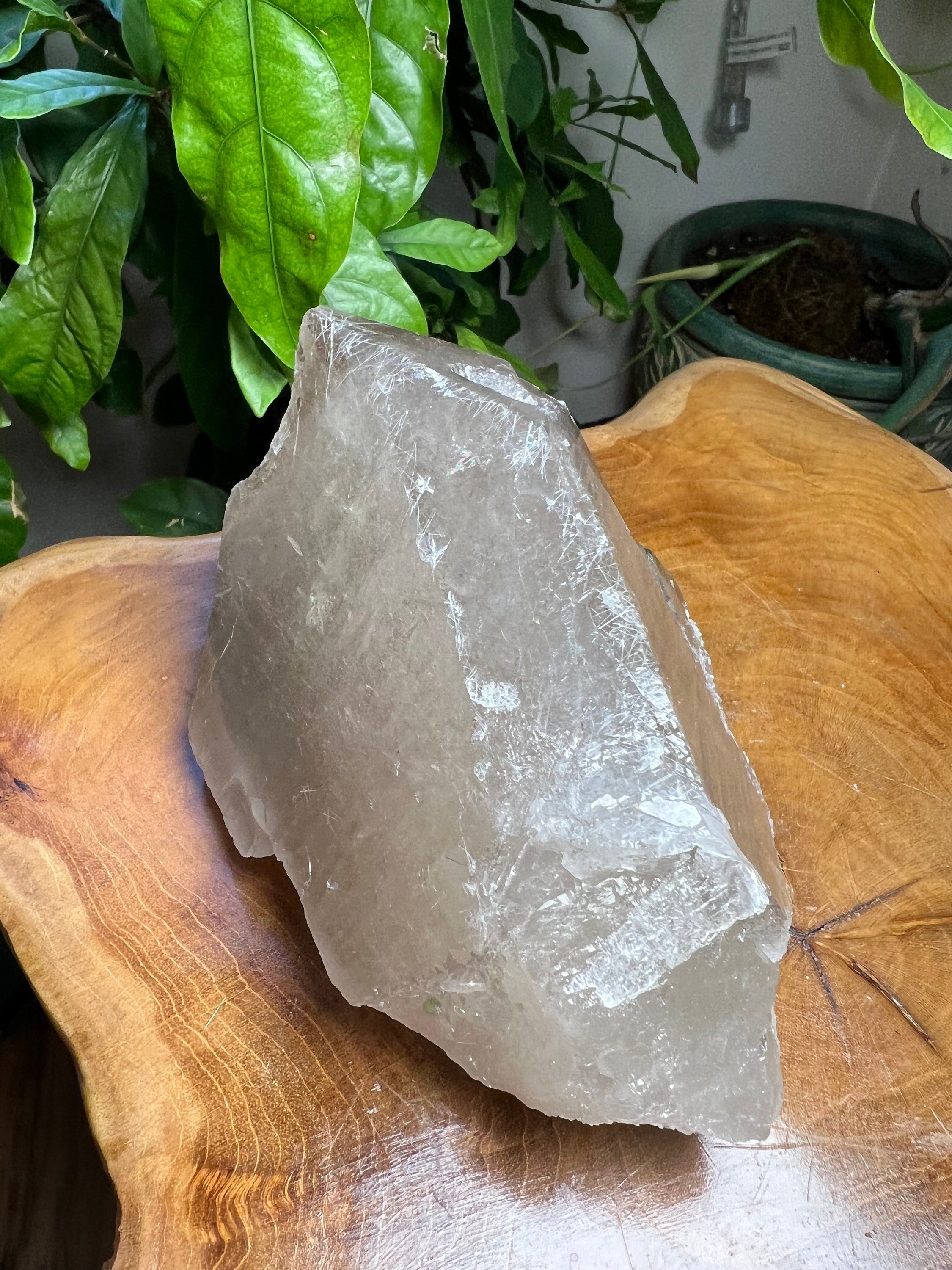 https://i.etsystatic.com/22529726/r/il/78a398/3523081175/il_fullxfull.3523081175_nwx6.jpg