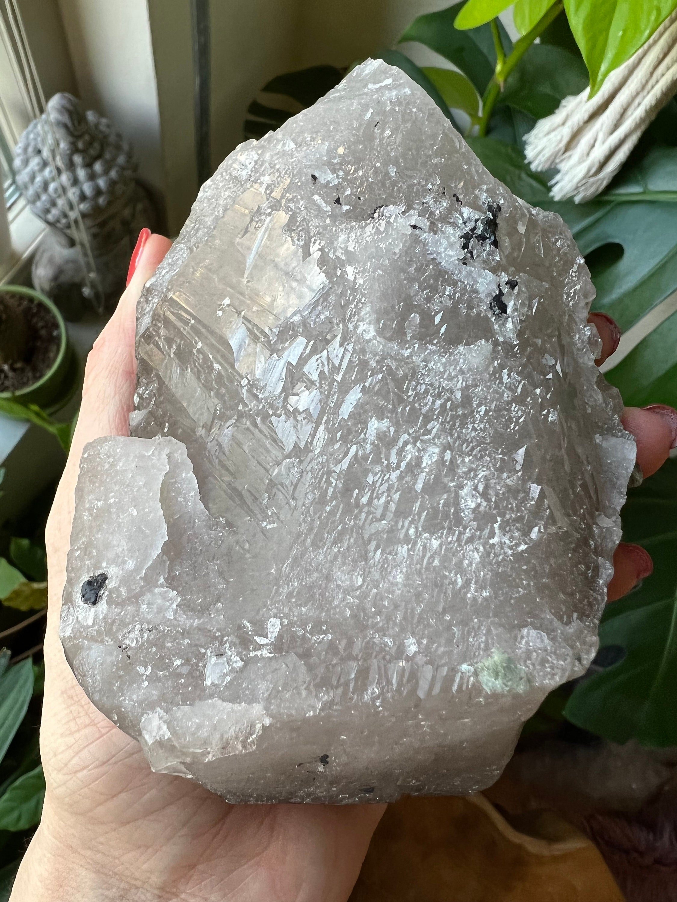 https://i.etsystatic.com/22529726/r/il/f77d44/3523081127/il_fullxfull.3523081127_ayly.jpg