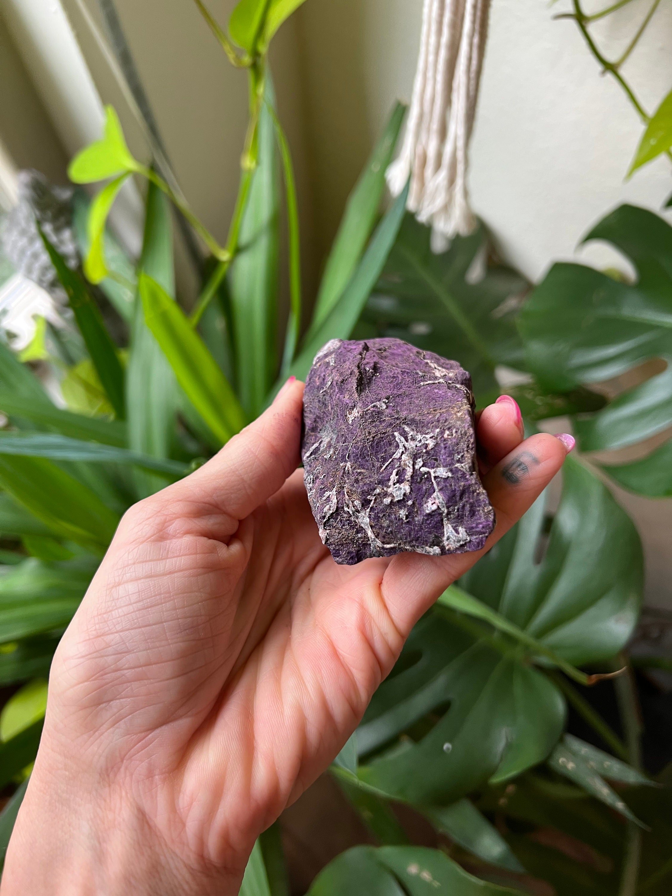 https://i.etsystatic.com/22529726/r/il/a10c1f/3770038373/il_fullxfull.3770038373_kozx.jpg