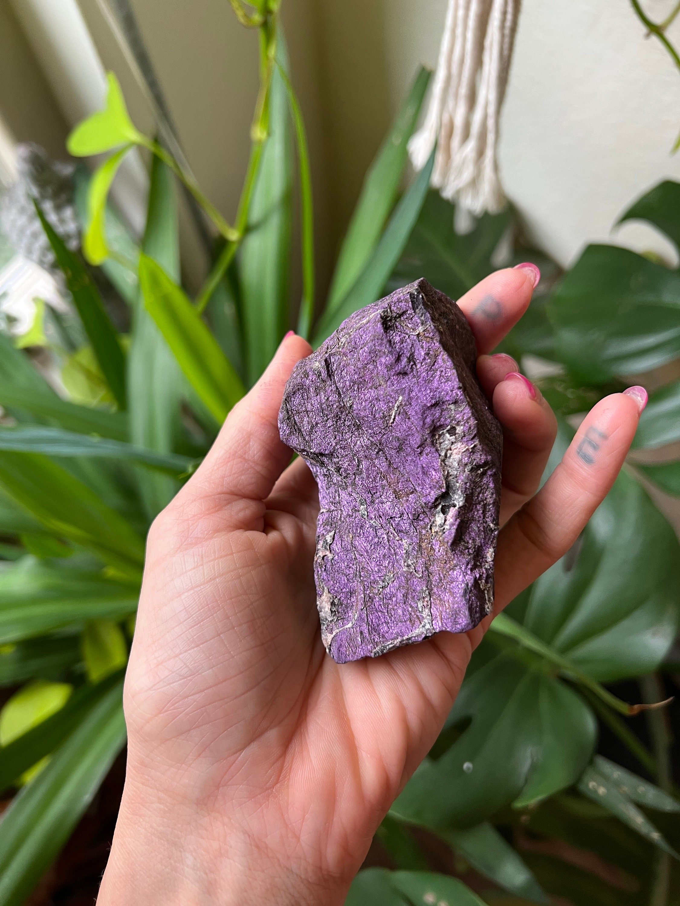 https://i.etsystatic.com/22529726/r/il/5da7e8/3770039341/il_fullxfull.3770039341_frss.jpg