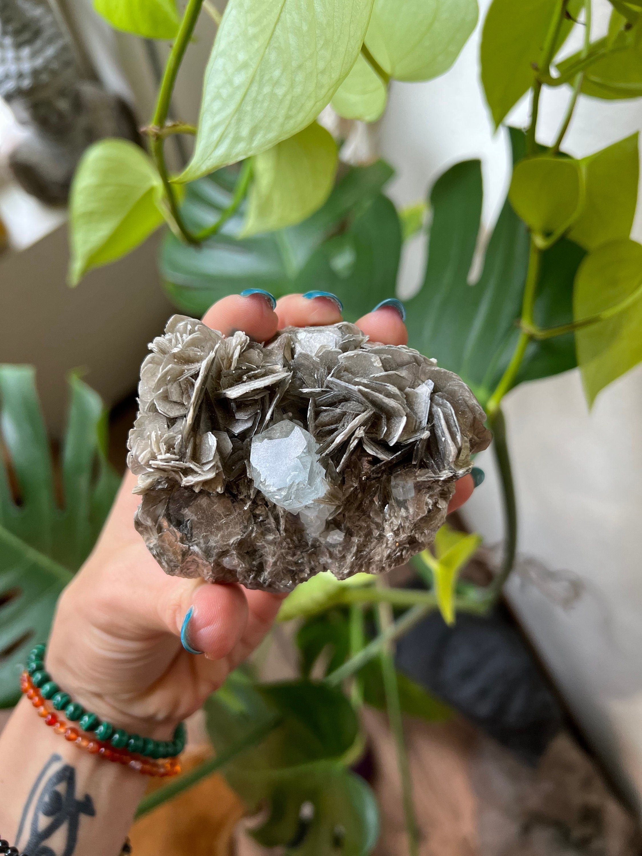 https://i.etsystatic.com/22529726/r/il/03d132/3794480331/il_fullxfull.3794480331_4pgo.jpg