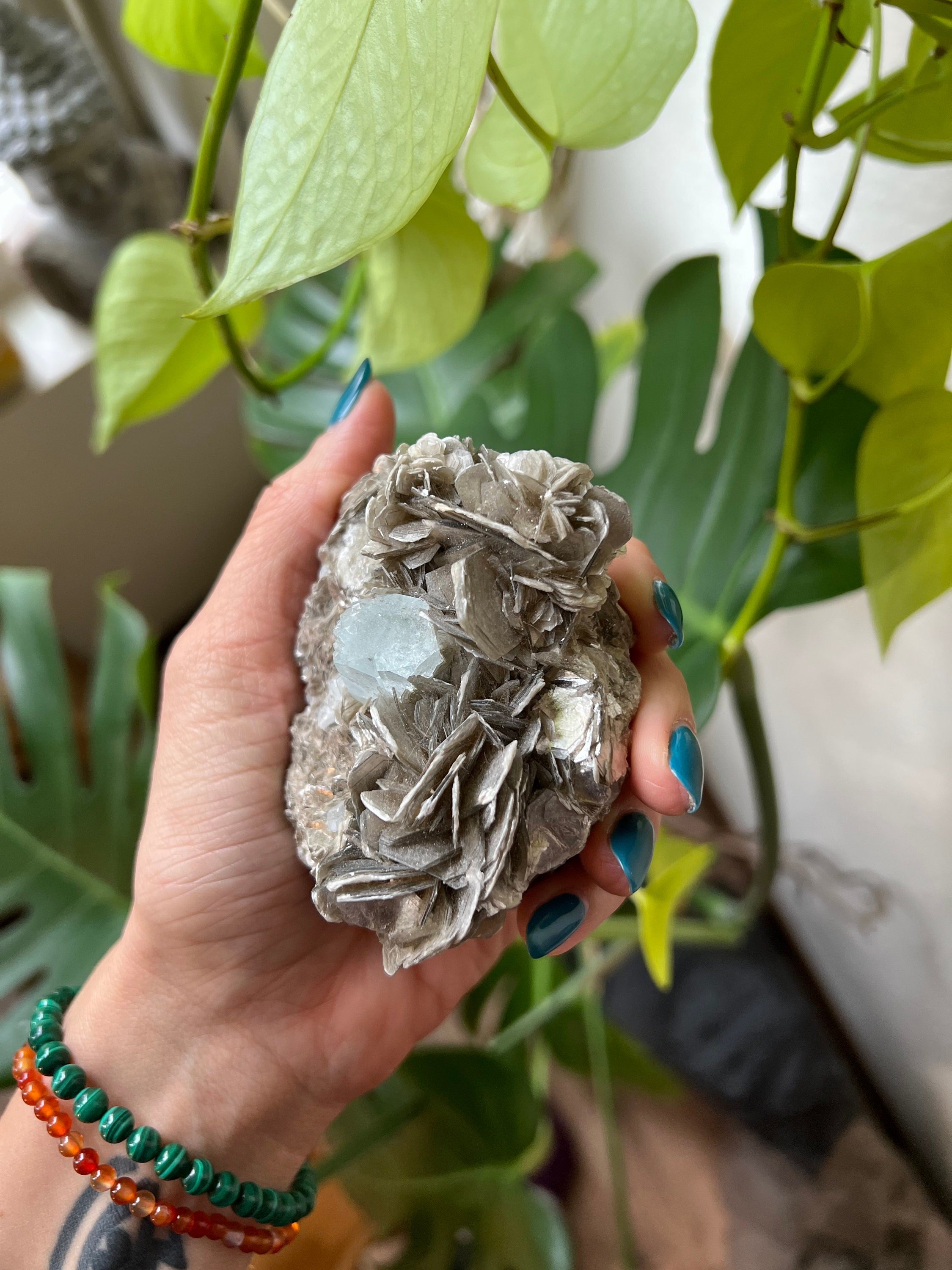 https://i.etsystatic.com/22529726/r/il/d9d294/3794480893/il_fullxfull.3794480893_3c1s.jpg