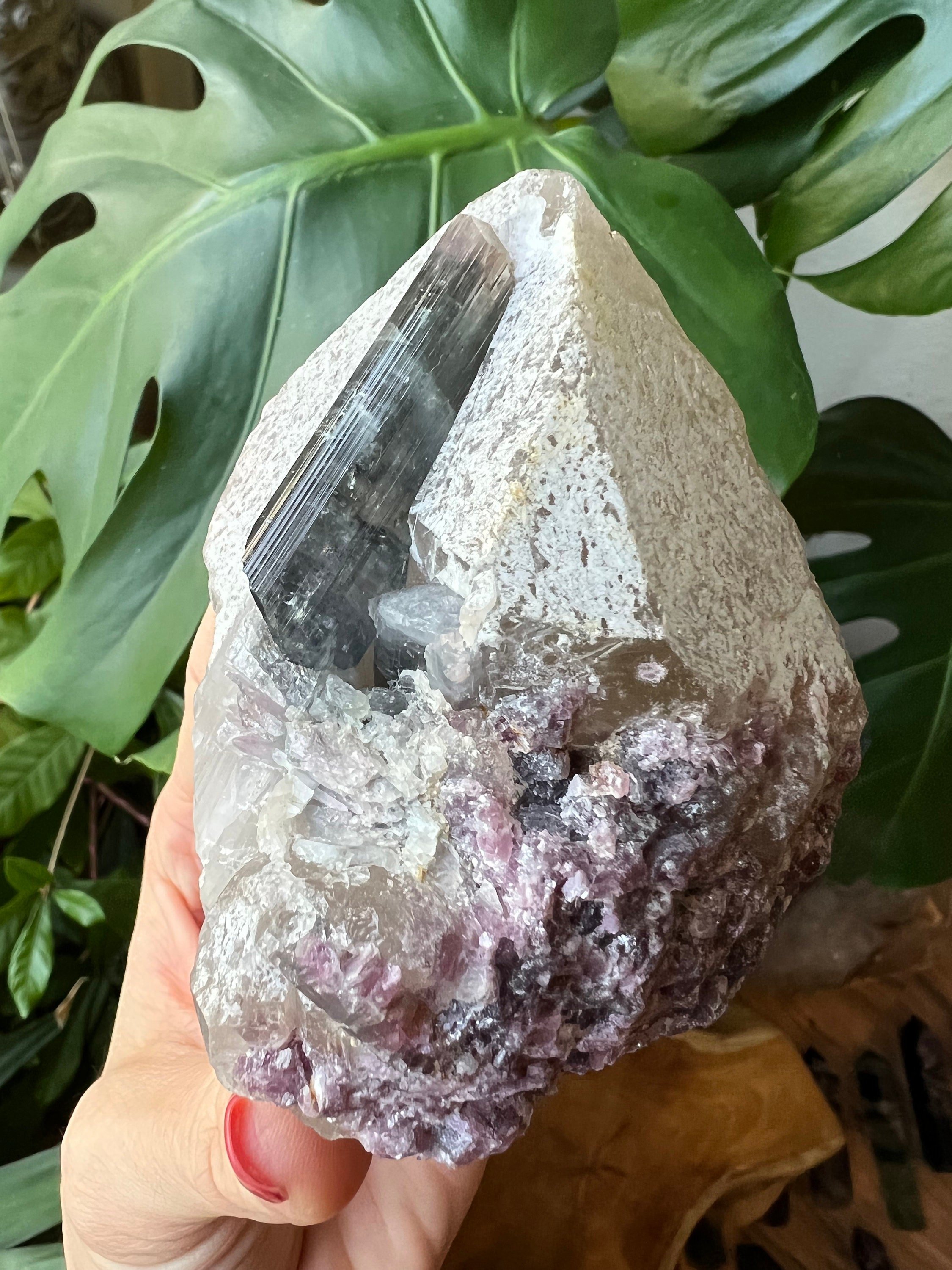 https://i.etsystatic.com/22529726/r/il/d16a4b/3475140836/il_fullxfull.3475140836_r56p.jpg