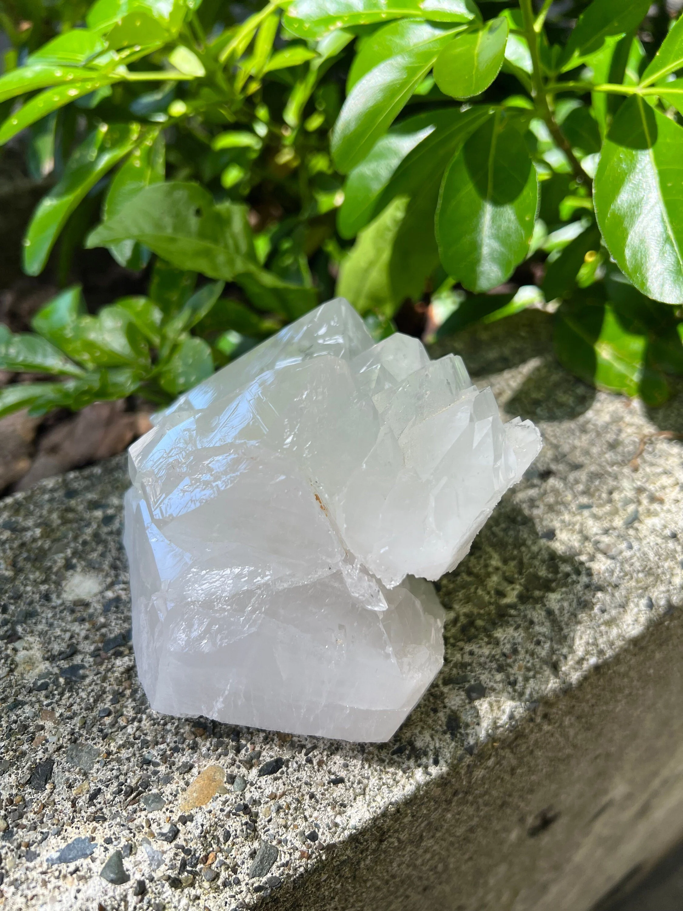https://i.etsystatic.com/22529726/r/il/1d4e49/3997926526/il_fullxfull.3997926526_g143.jpg