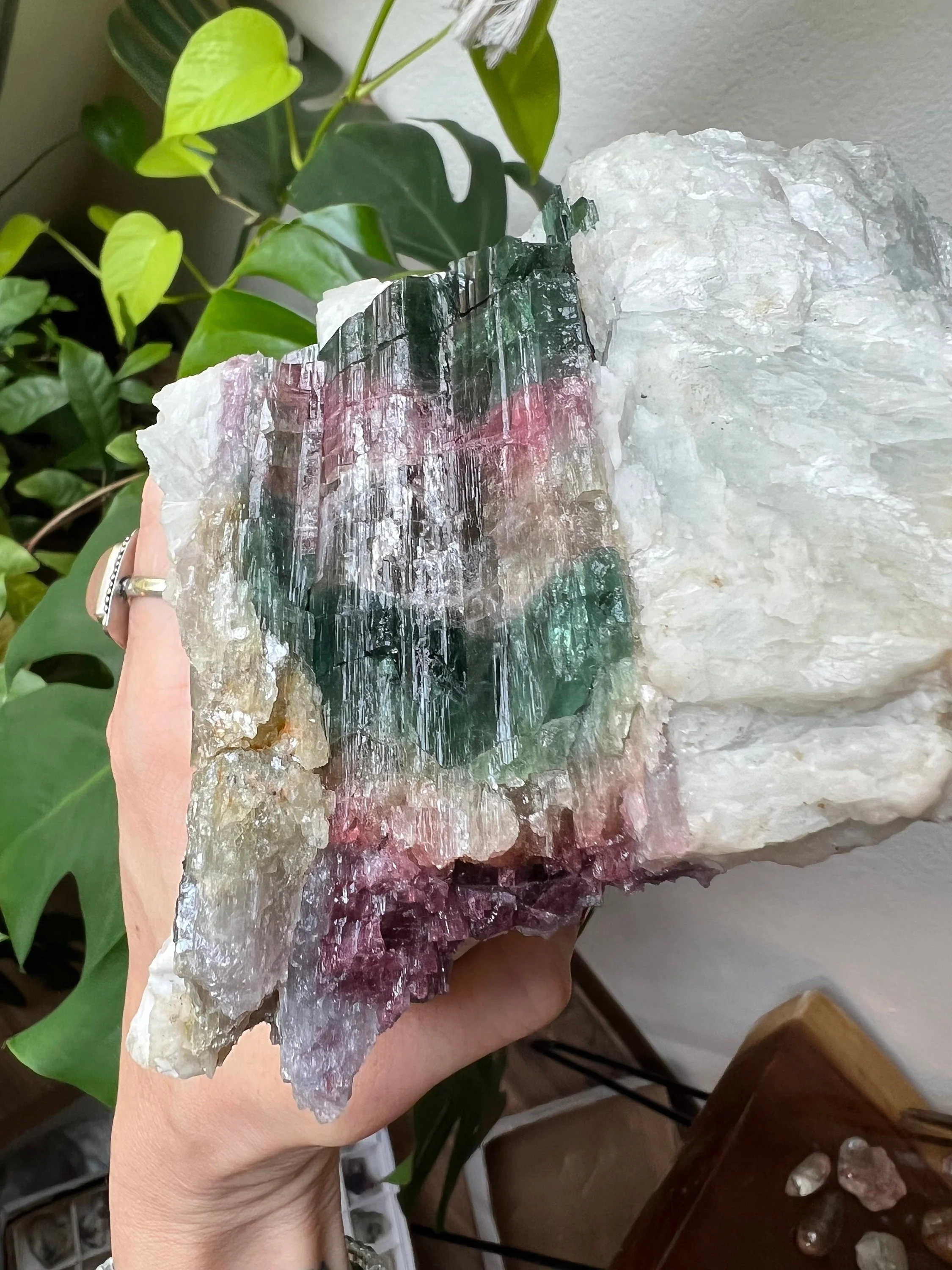 https://i.etsystatic.com/22529726/r/il/49aa6a/3405674932/il_fullxfull.3405674932_58xf.jpg