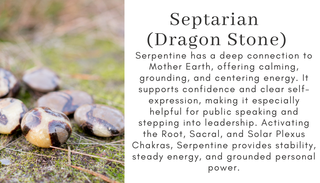 septarian dragon stone brown yellow Find Your Center Seattle