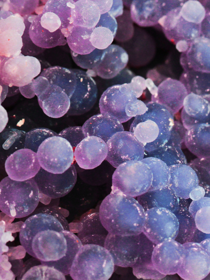Grape Agate (Chalcedony)