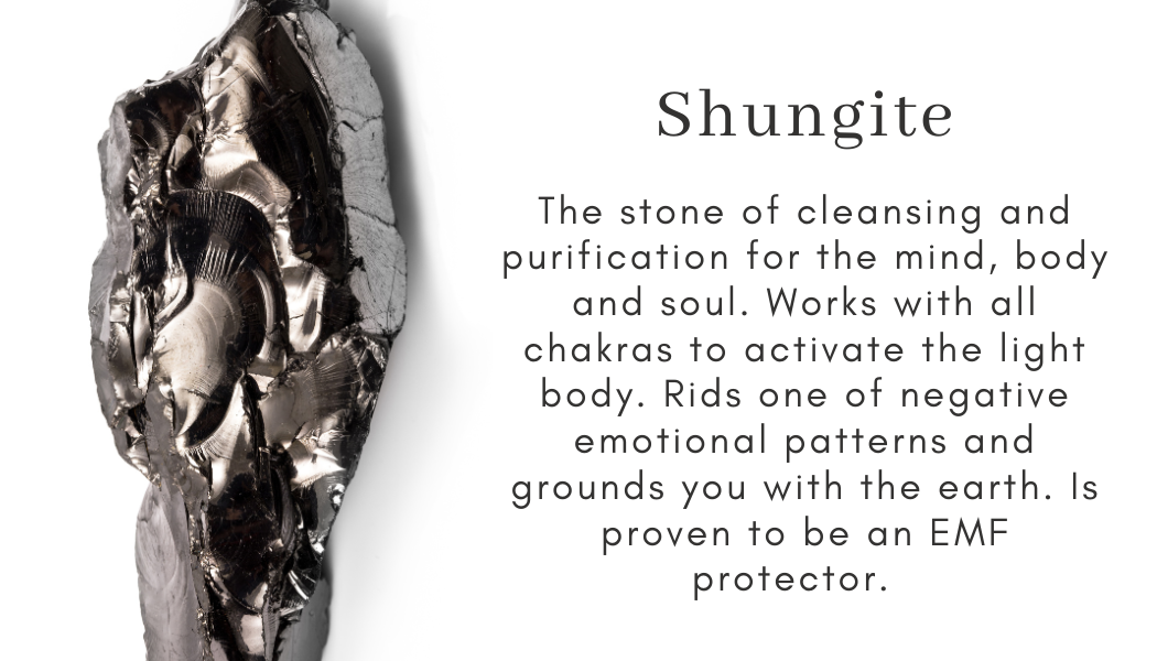 shungite black Find Your Center Seattle