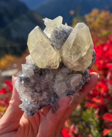 Honey &amp; Dogtooth Calcite